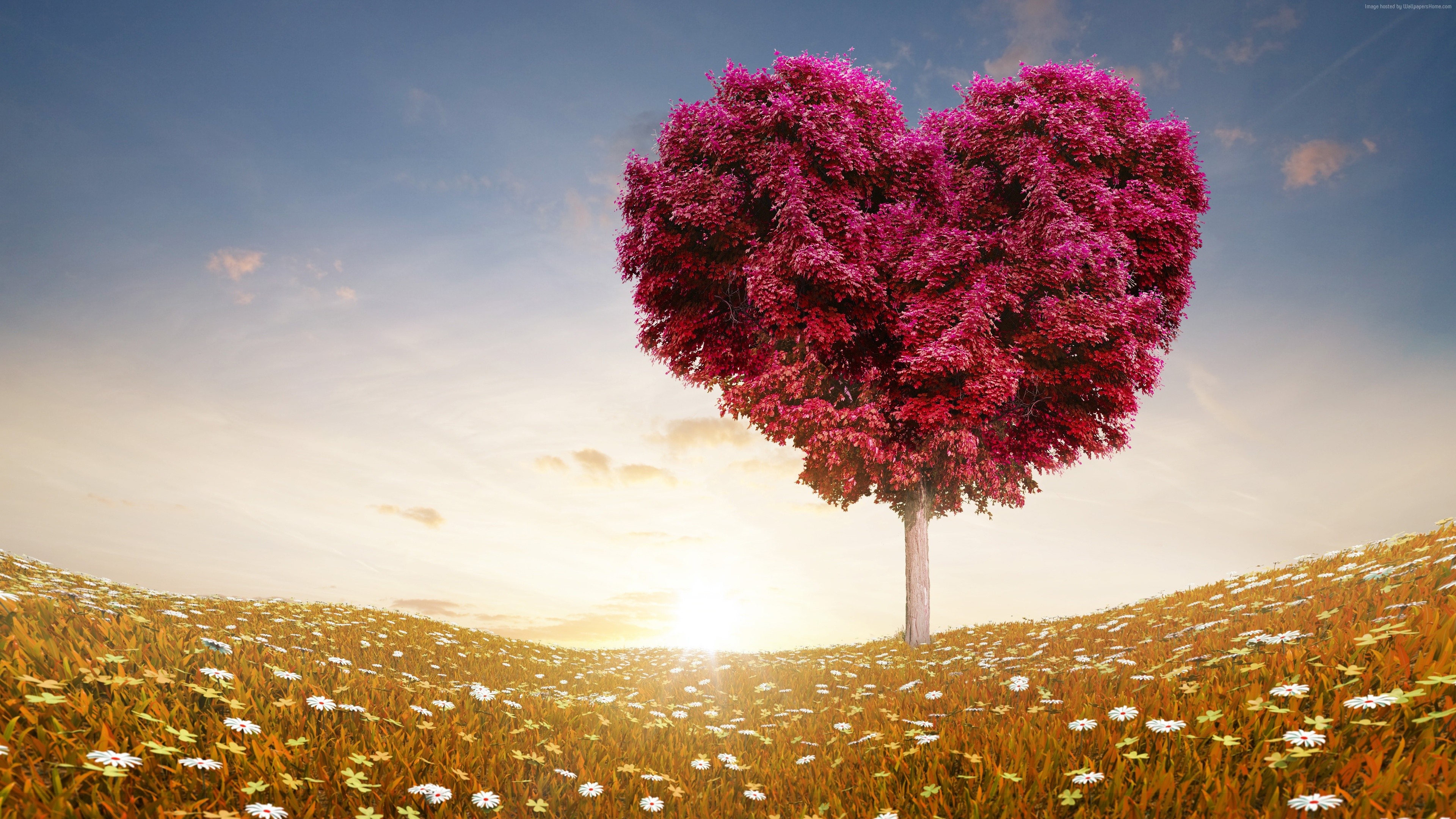 Heart-shaped tree in a field of flowers HD Wallpaper