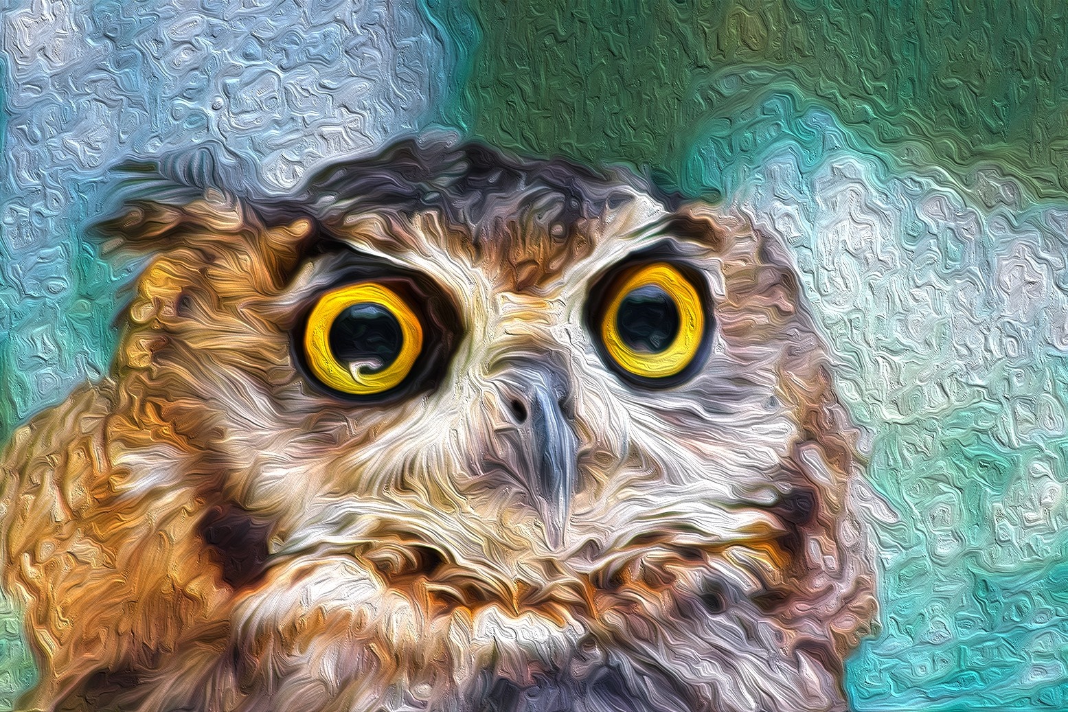 Close-up of an owl's face with yellow eyes HD Wallpaper