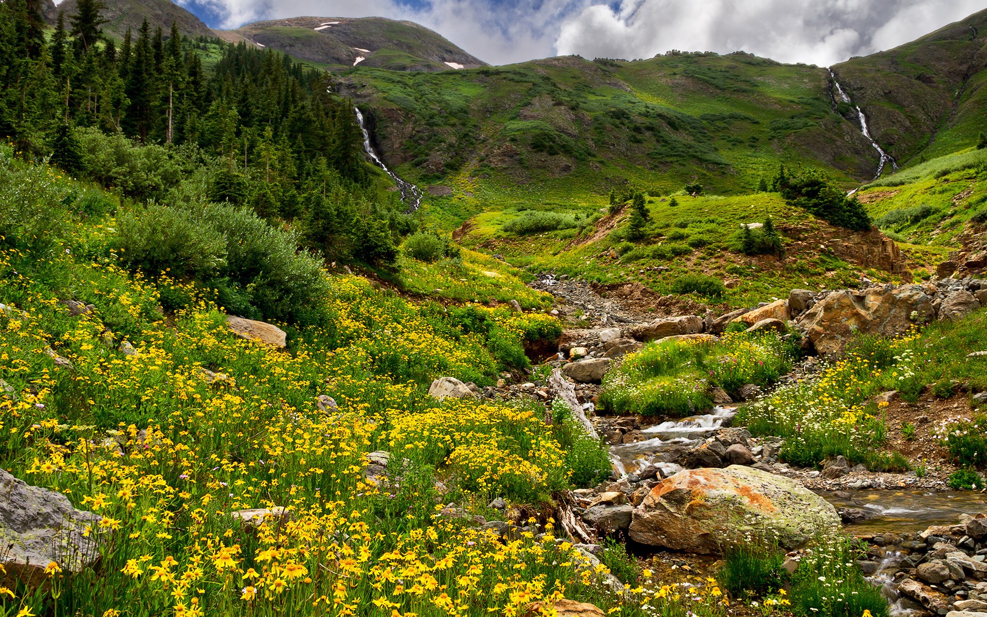 Mountain valley with wildflowers and waterfalls HD Wallpaper