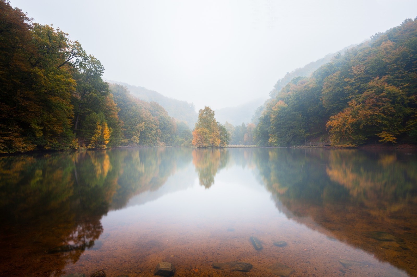 Misty autumn lake with colorful trees and reflections HD Wallpaper