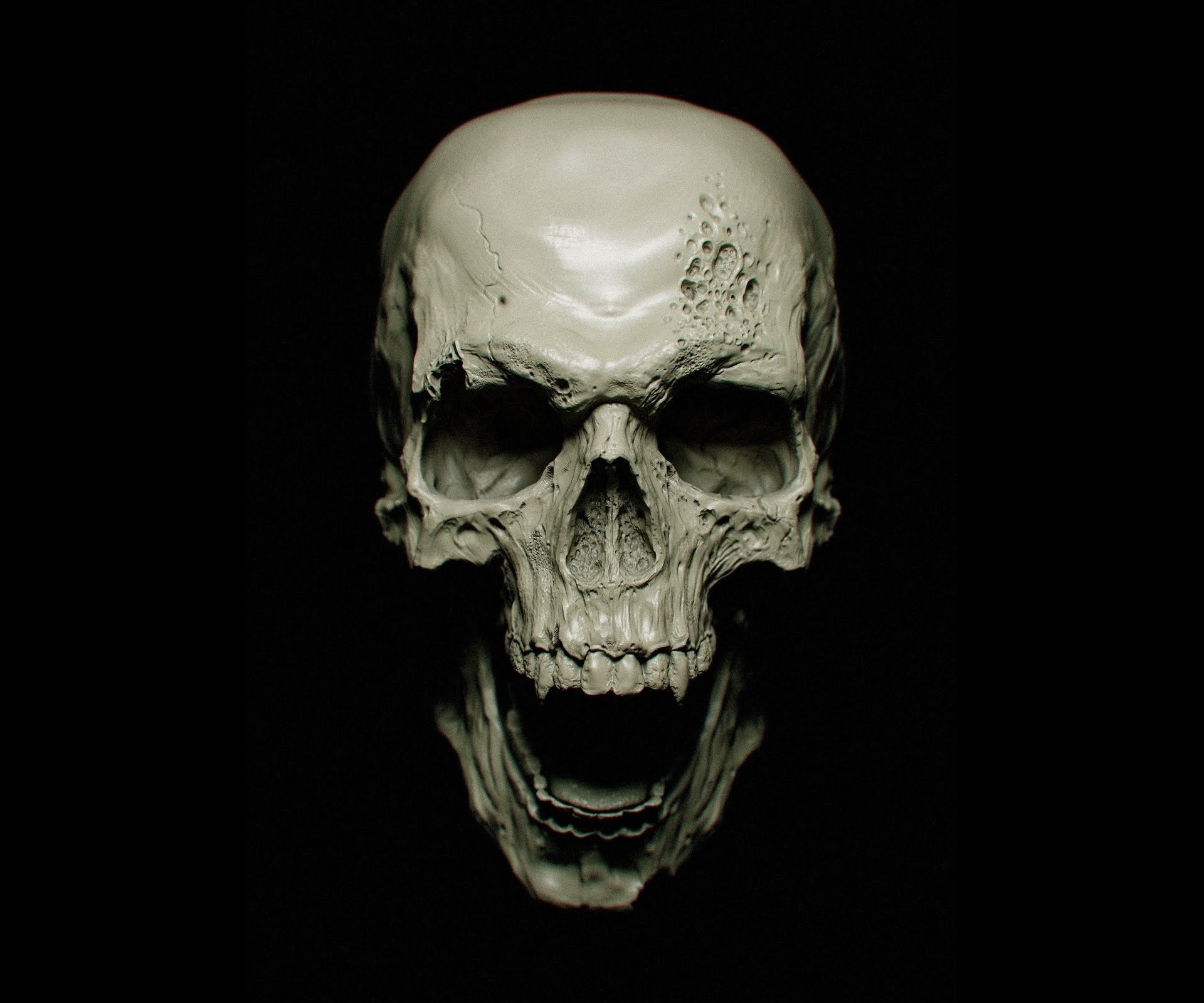 Sculpted skull with holes and open jaw HD Wallpaper