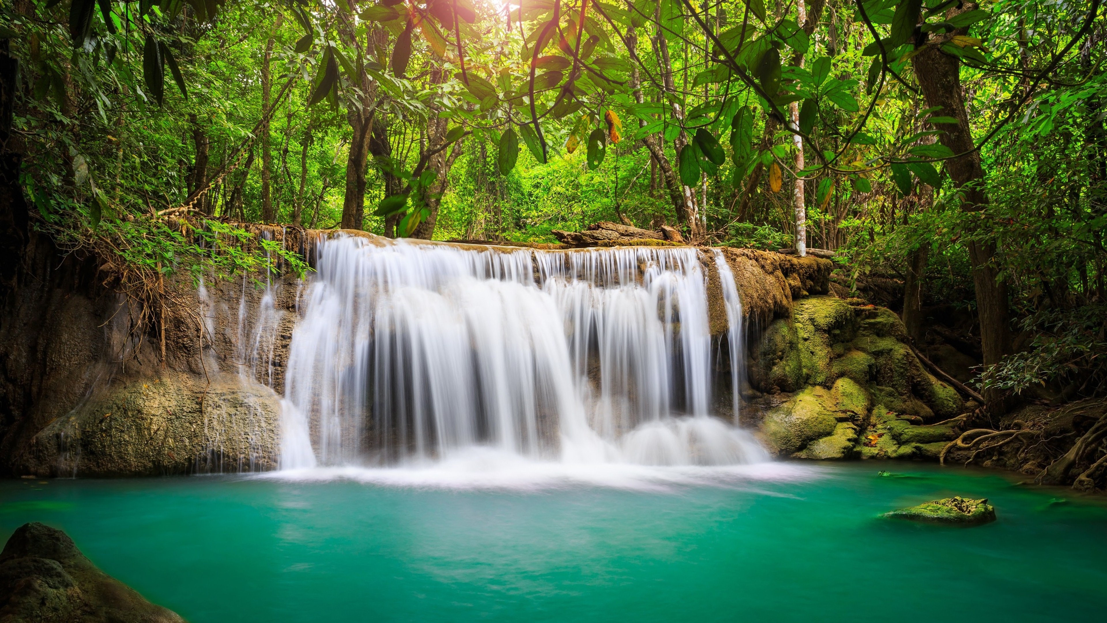 Waterfall in a lush green forest with turquoise water HD Wallpaper