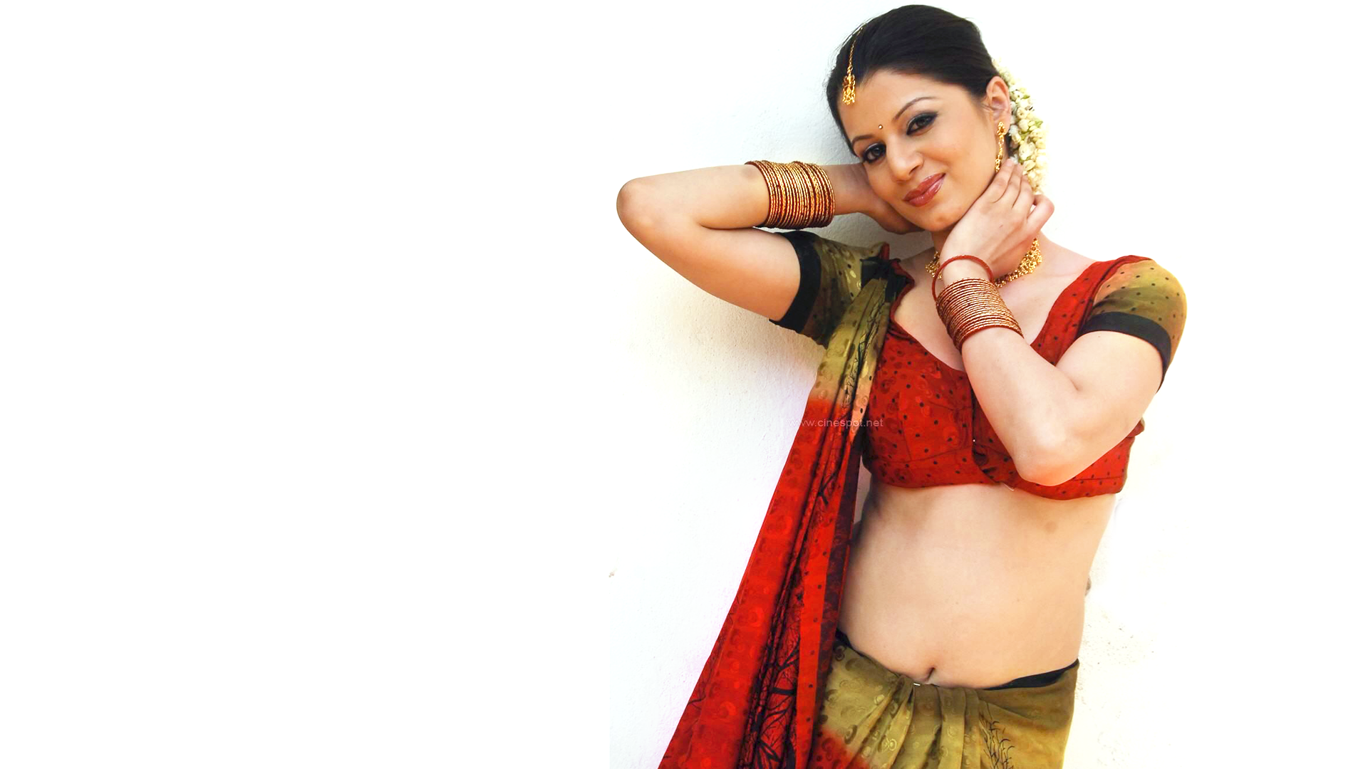 Woman in Sari Posing HD Wallpaper