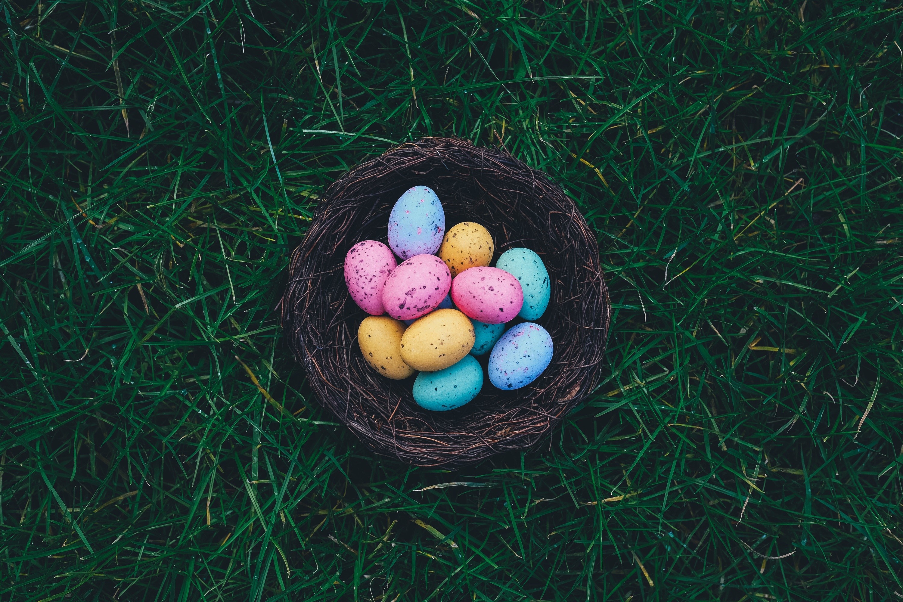 Colorful Easter Eggs in a Nest on Green Grass HD Wallpaper