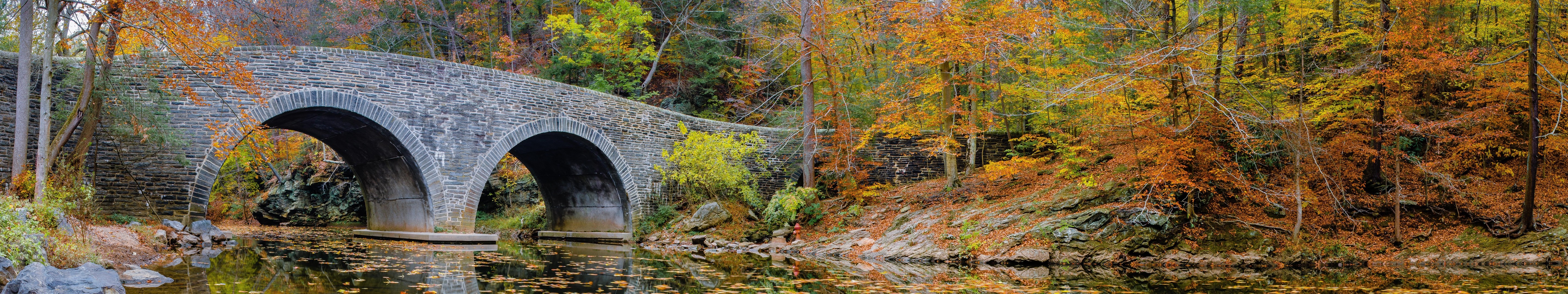 Stone bridge over water in autumn forest HD Wallpaper