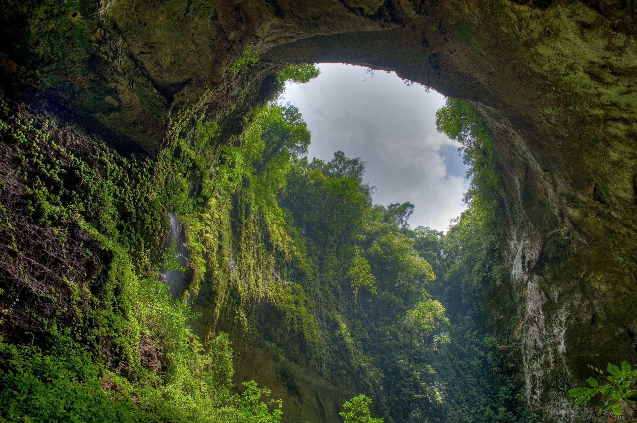 Cave opening with lush green vegetation and sky HD Wallpaper