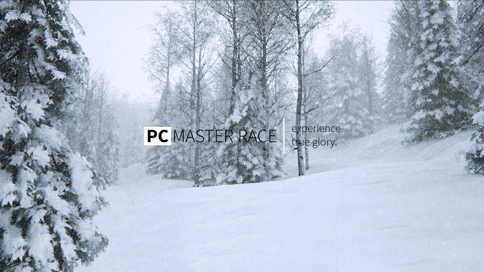 PC Master Race experience true glory winter forest HD Wallpaper