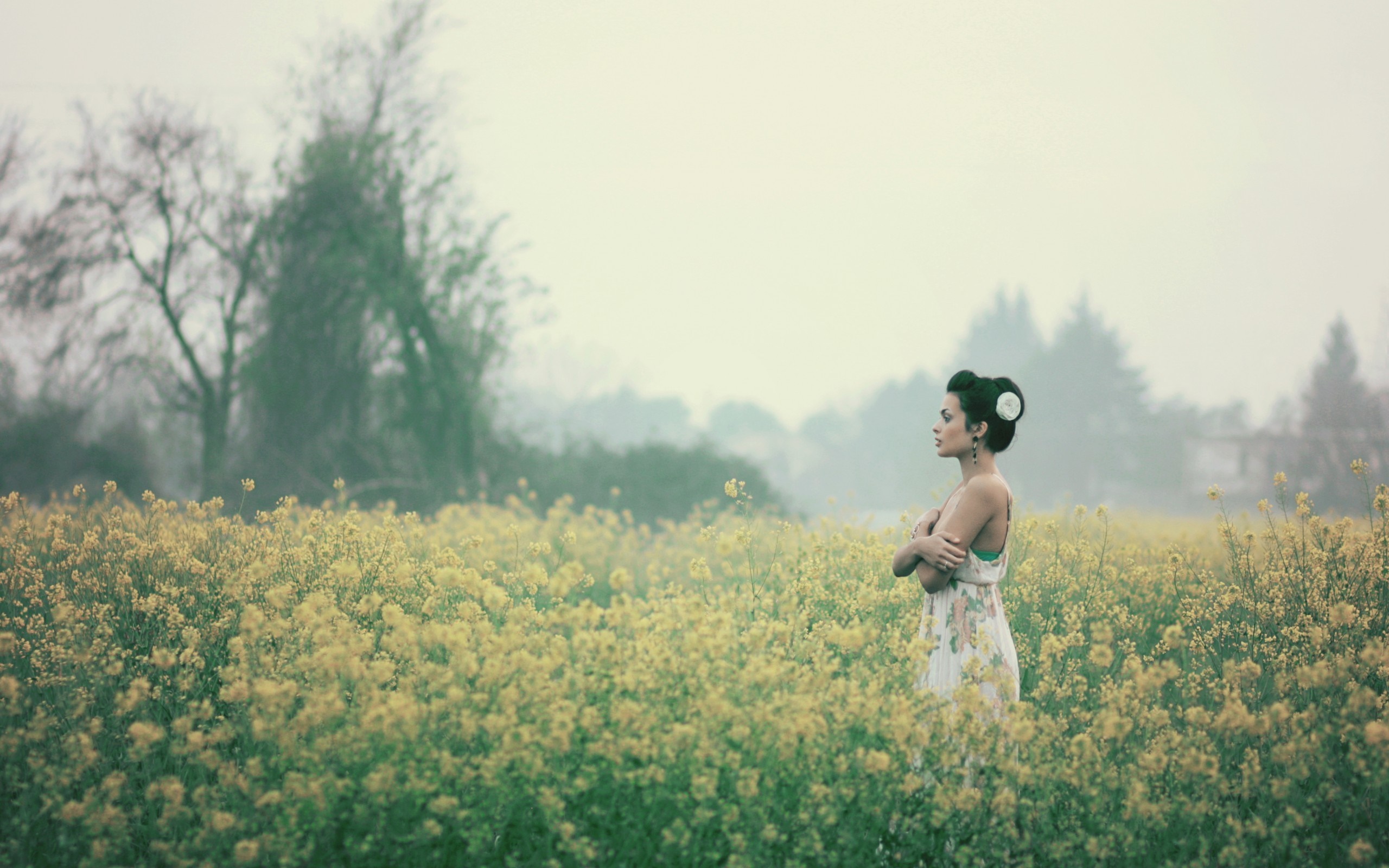 Woman in a floral dress in a field of yellow flowers HD Wallpaper