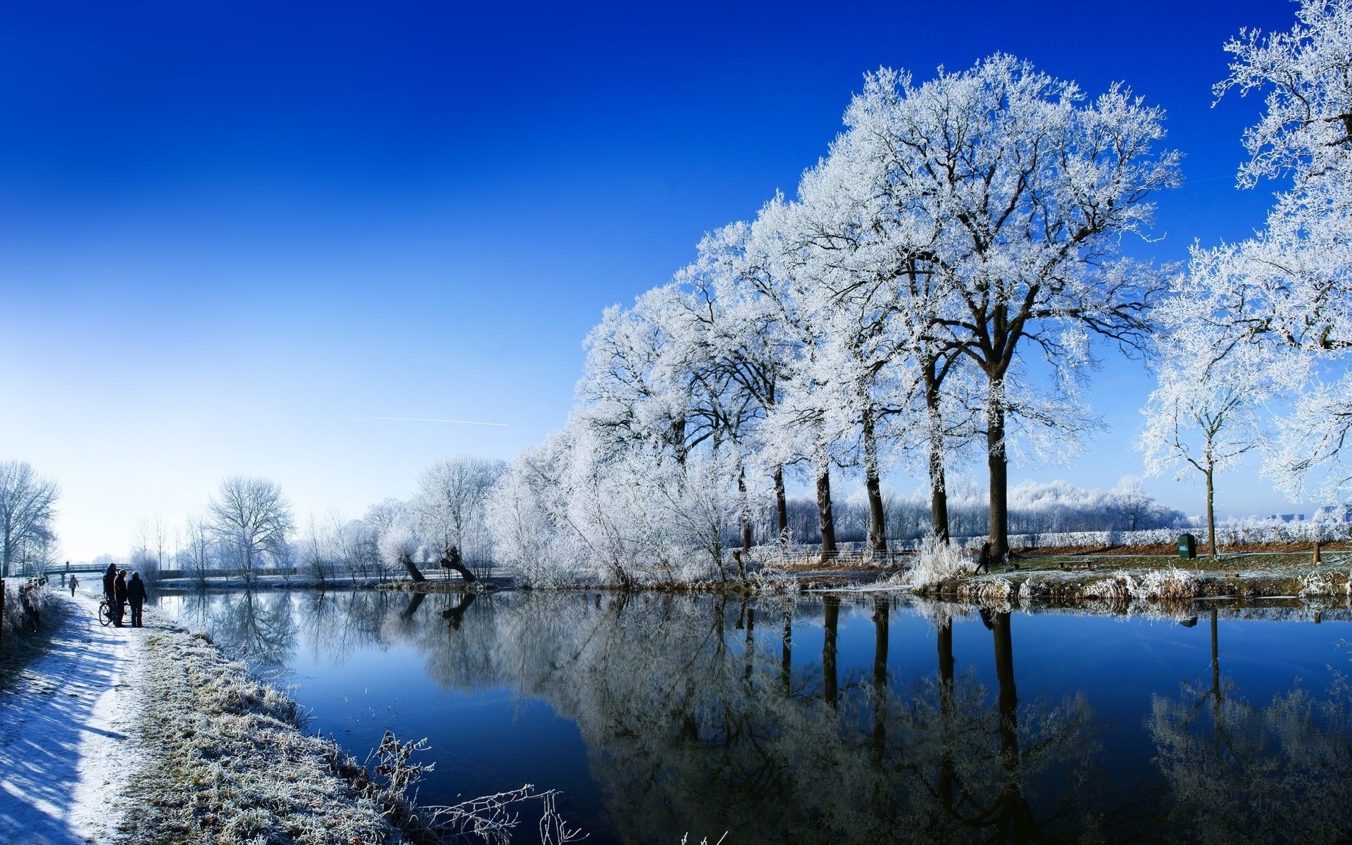 Winter landscape with frosted trees and a lake HD Wallpaper