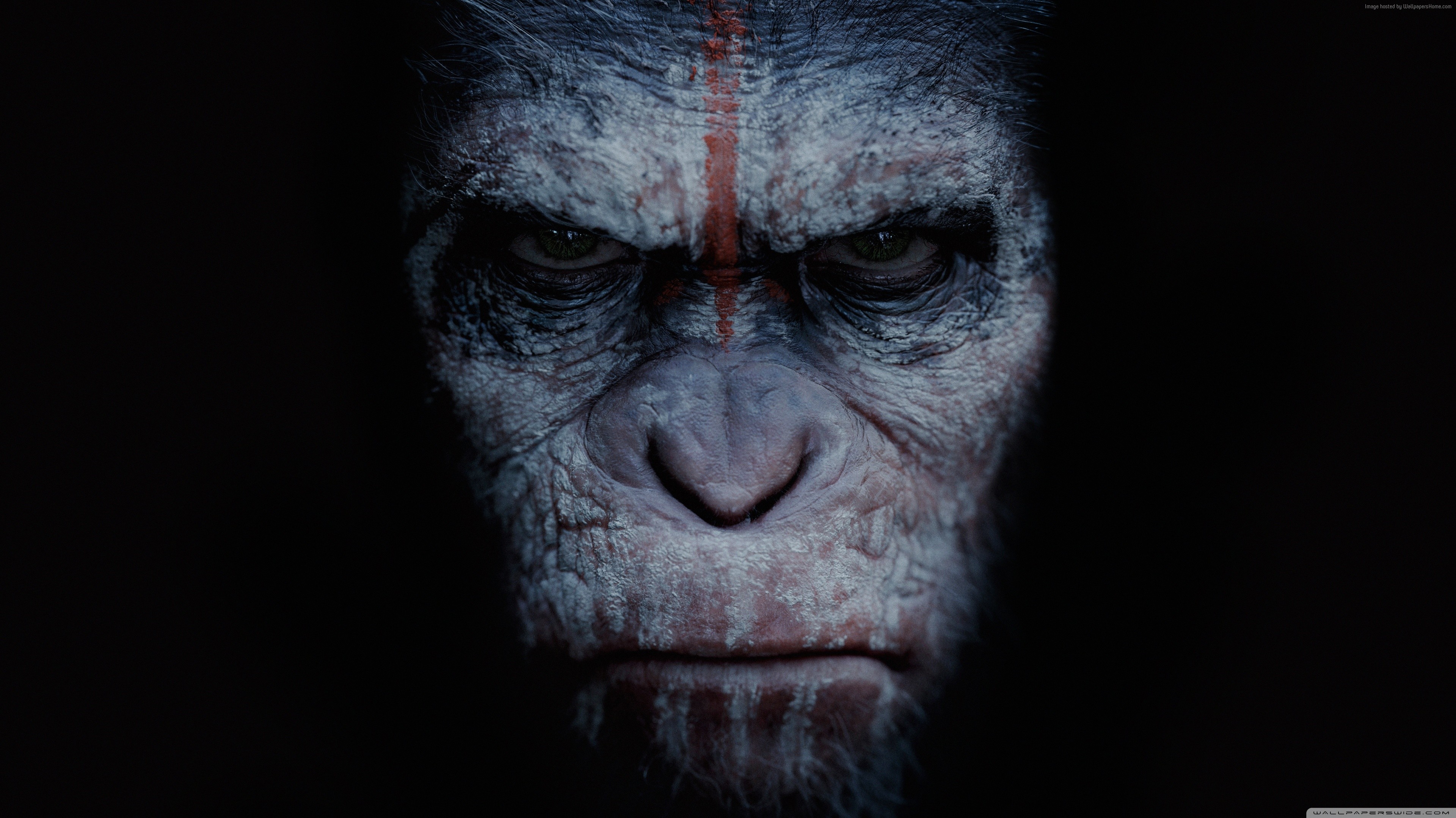 Caesar from War for the Planet of the Apes 4K HD Wallpaper