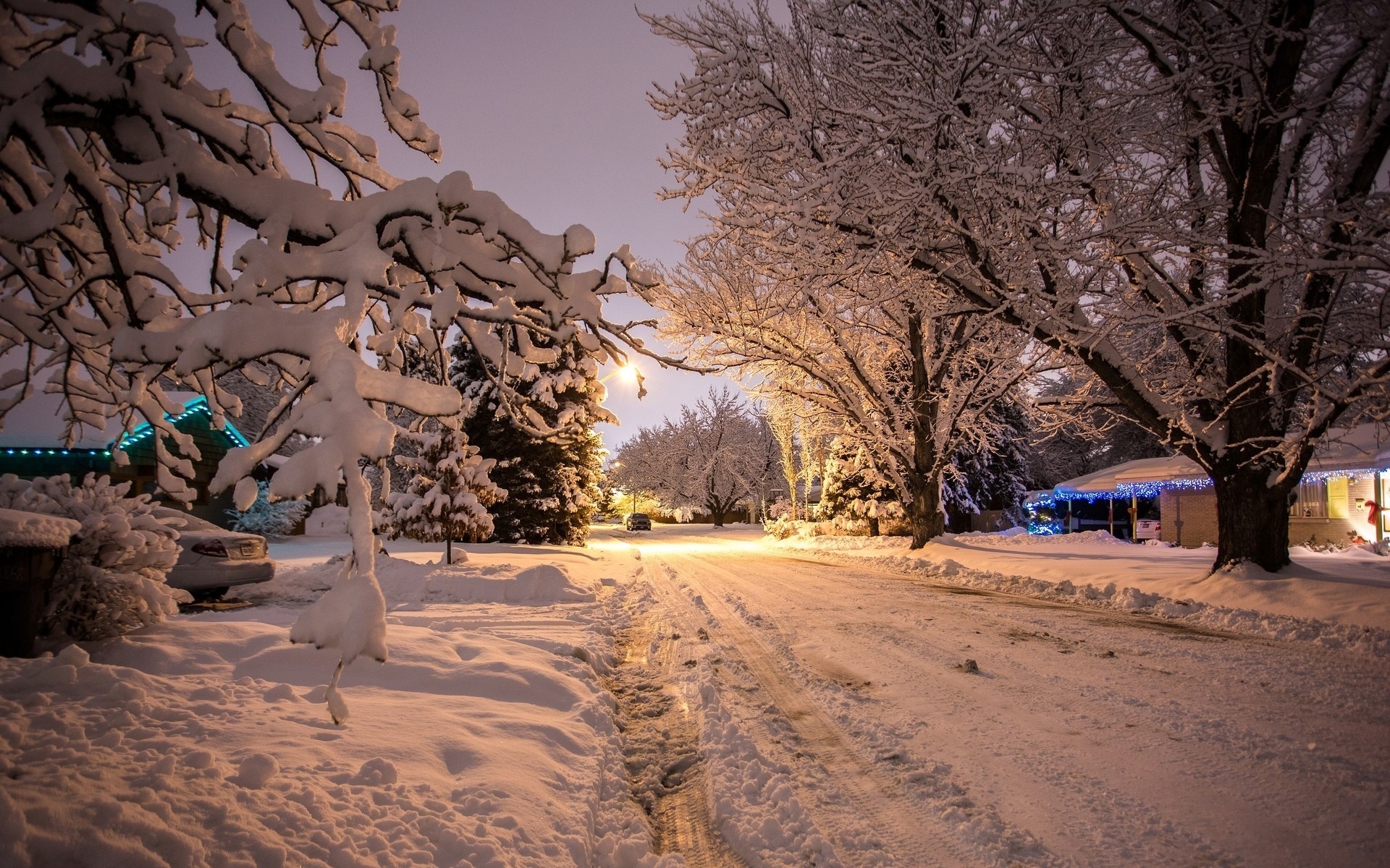 Snowy street at night with trees and houses HD Wallpaper