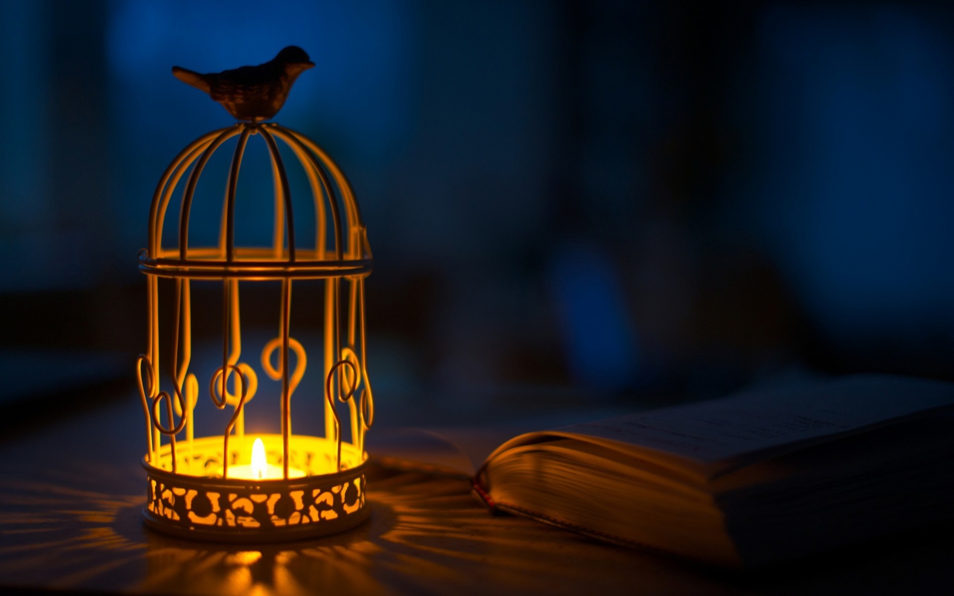 Birdcage lantern with candle and open book HD Wallpaper