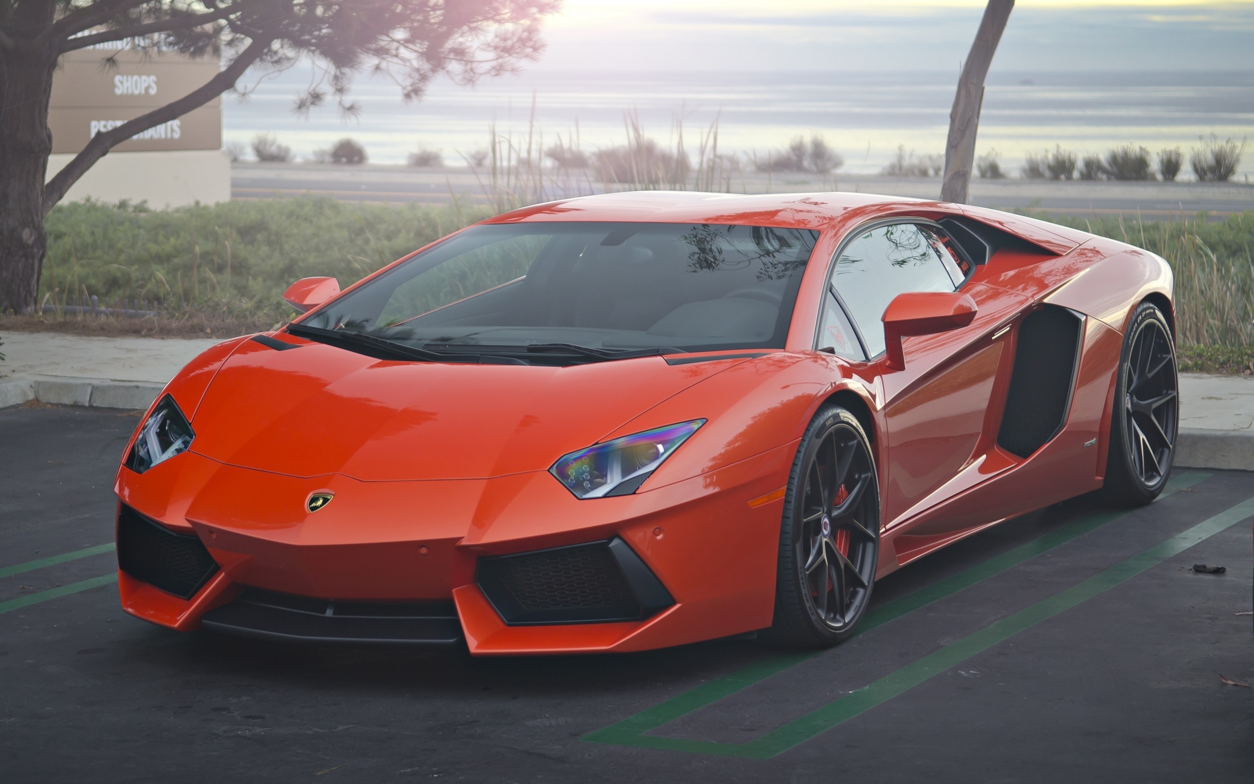 Orange Lamborghini Aventador parked by the water HD Wallpaper
