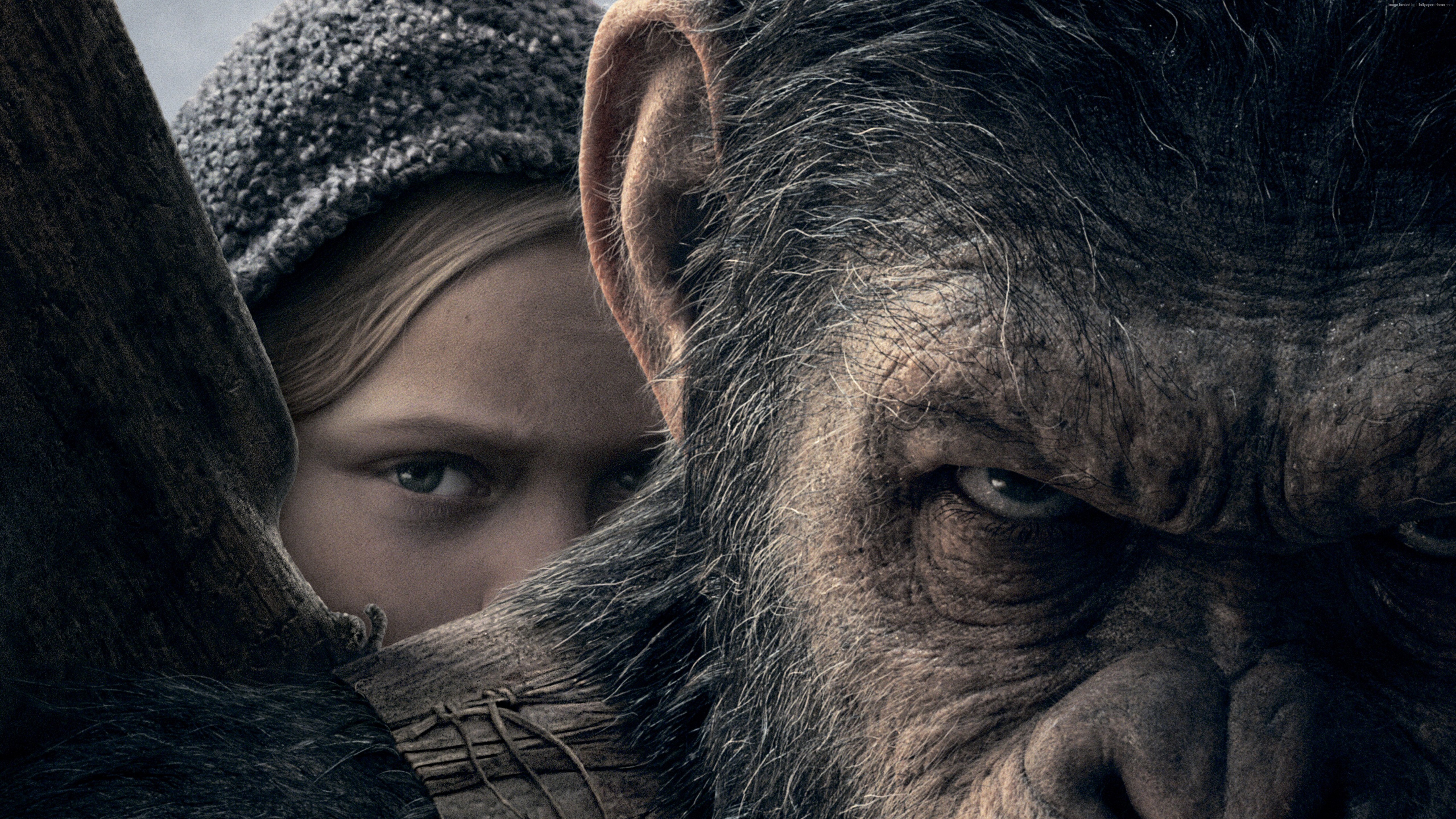 War for the Planet of the Apes 4K HD Wallpaper