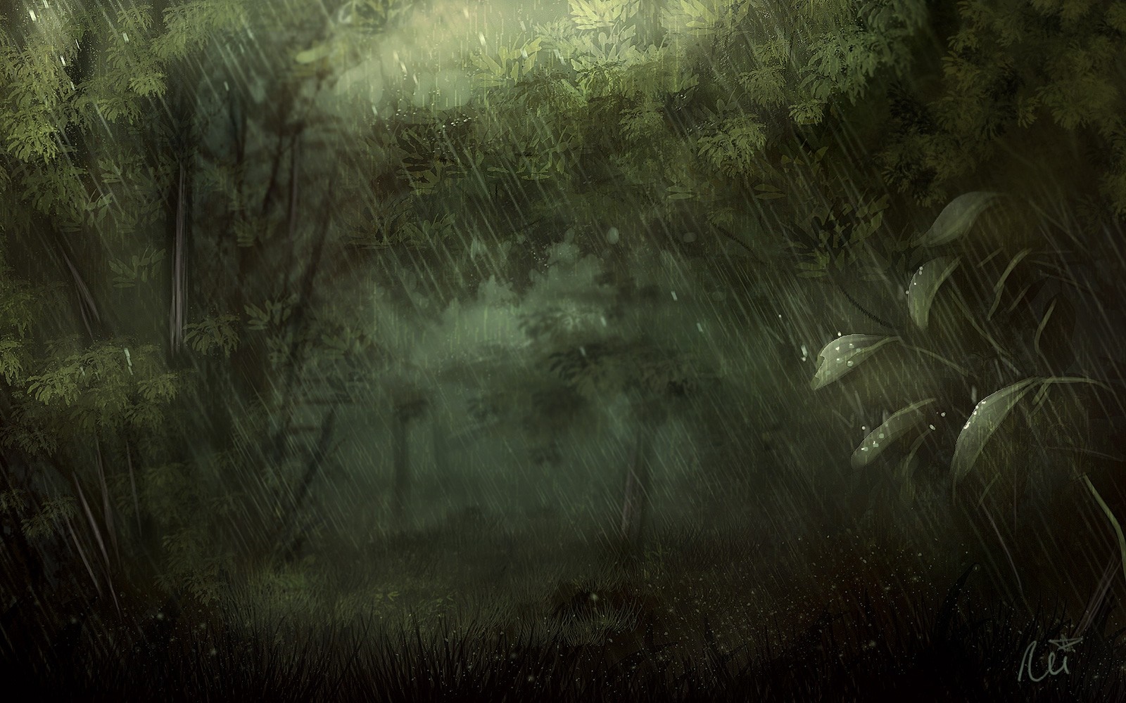 Rain falling in a dark green forest HD Wallpaper