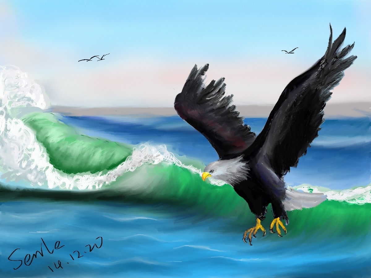 Bald eagle flying over ocean waves HD Wallpaper