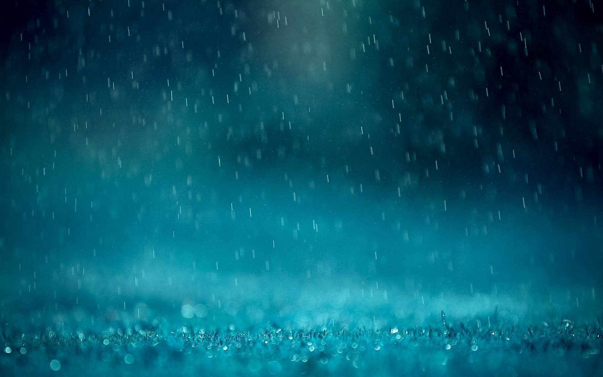 Raindrops falling on grass HD Wallpaper