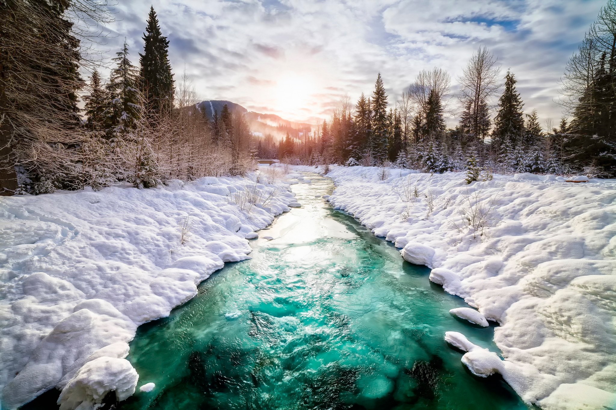 Turquoise river flowing through a snowy forest with mountains HD Wallpaper