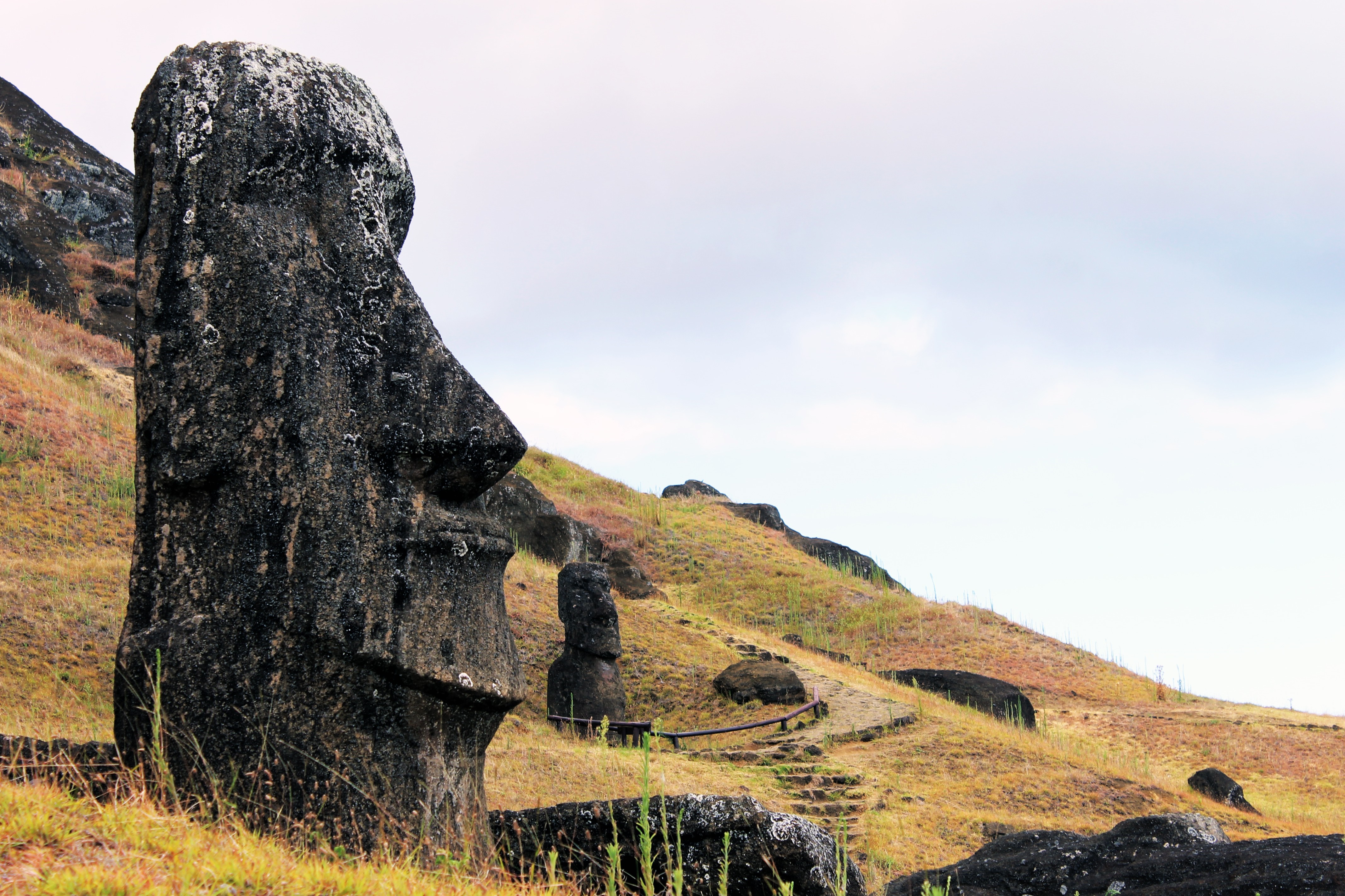 Moai statues on Rano Raraku, Easter Island HD Wallpaper