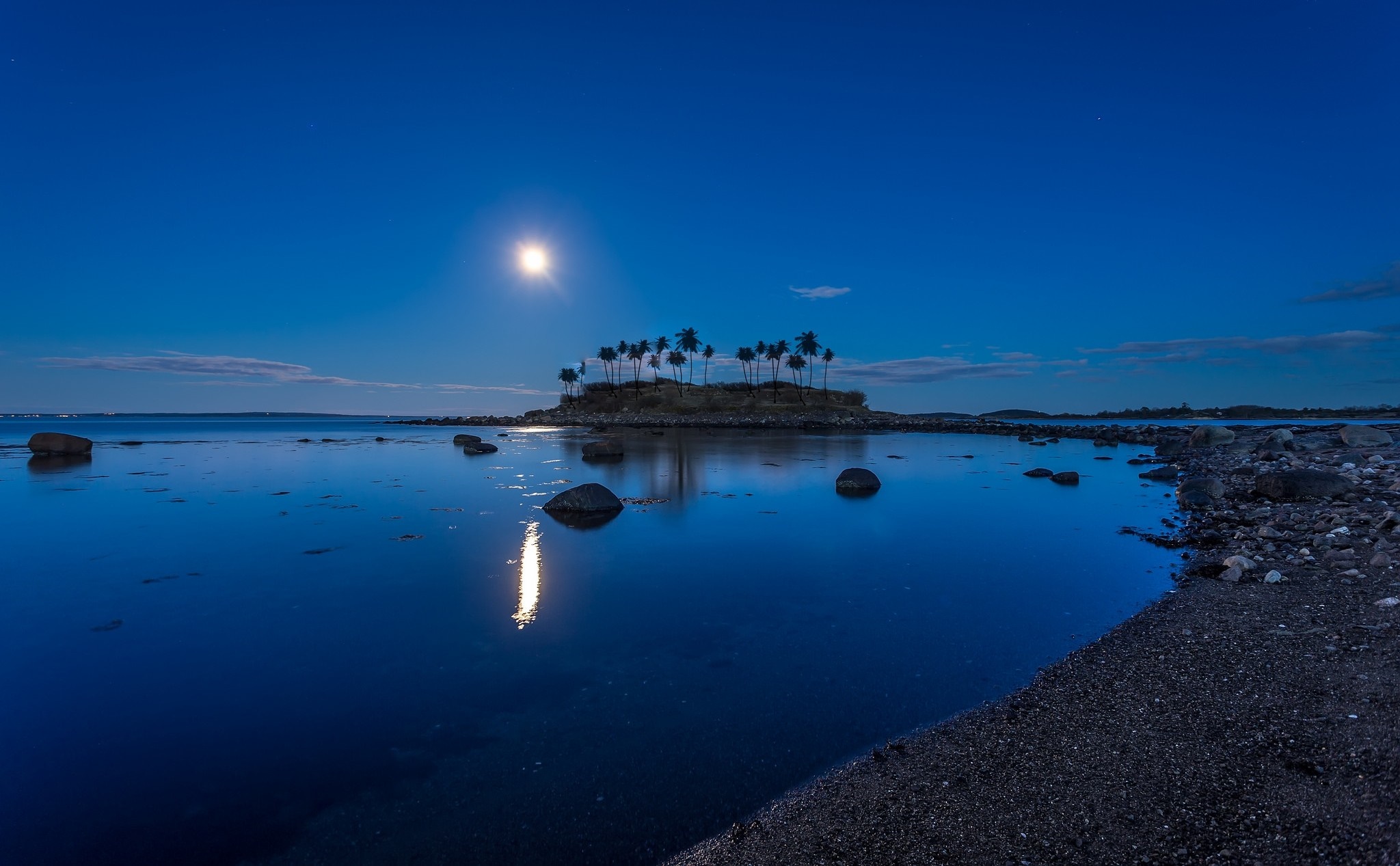 Island with palm trees under moonlight and reflection HD Wallpaper