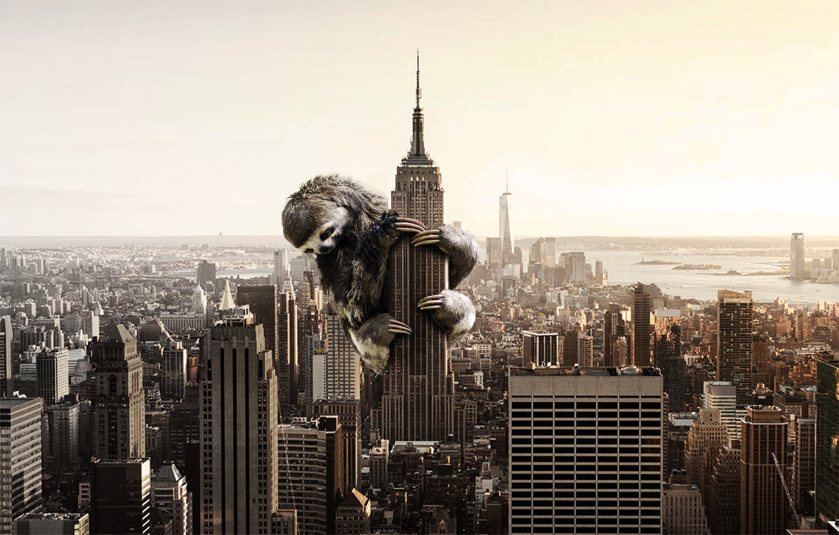 Giant sloth climbing the Empire State Building in New York City HD Wallpaper