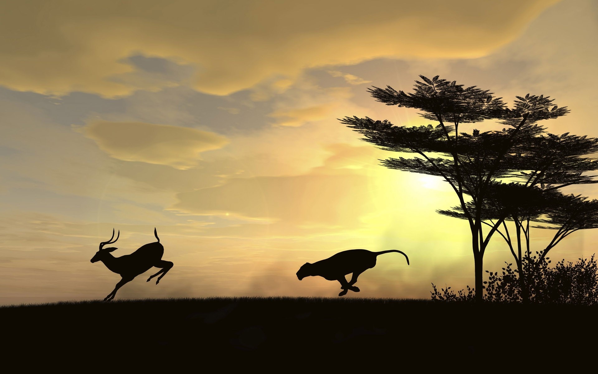 Cheetah chasing a gazelle at sunset HD Wallpaper