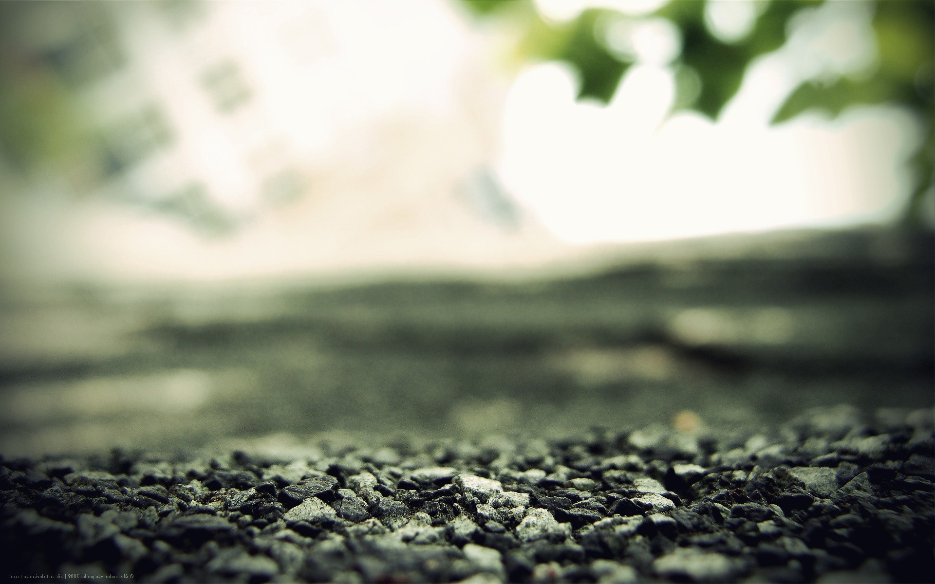 Close-up of stones with blurred background and sunlight HD Wallpaper