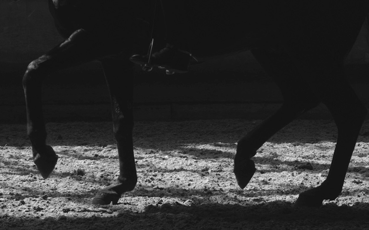 Monochrome image of a horse's legs and hooves on sand HD Wallpaper