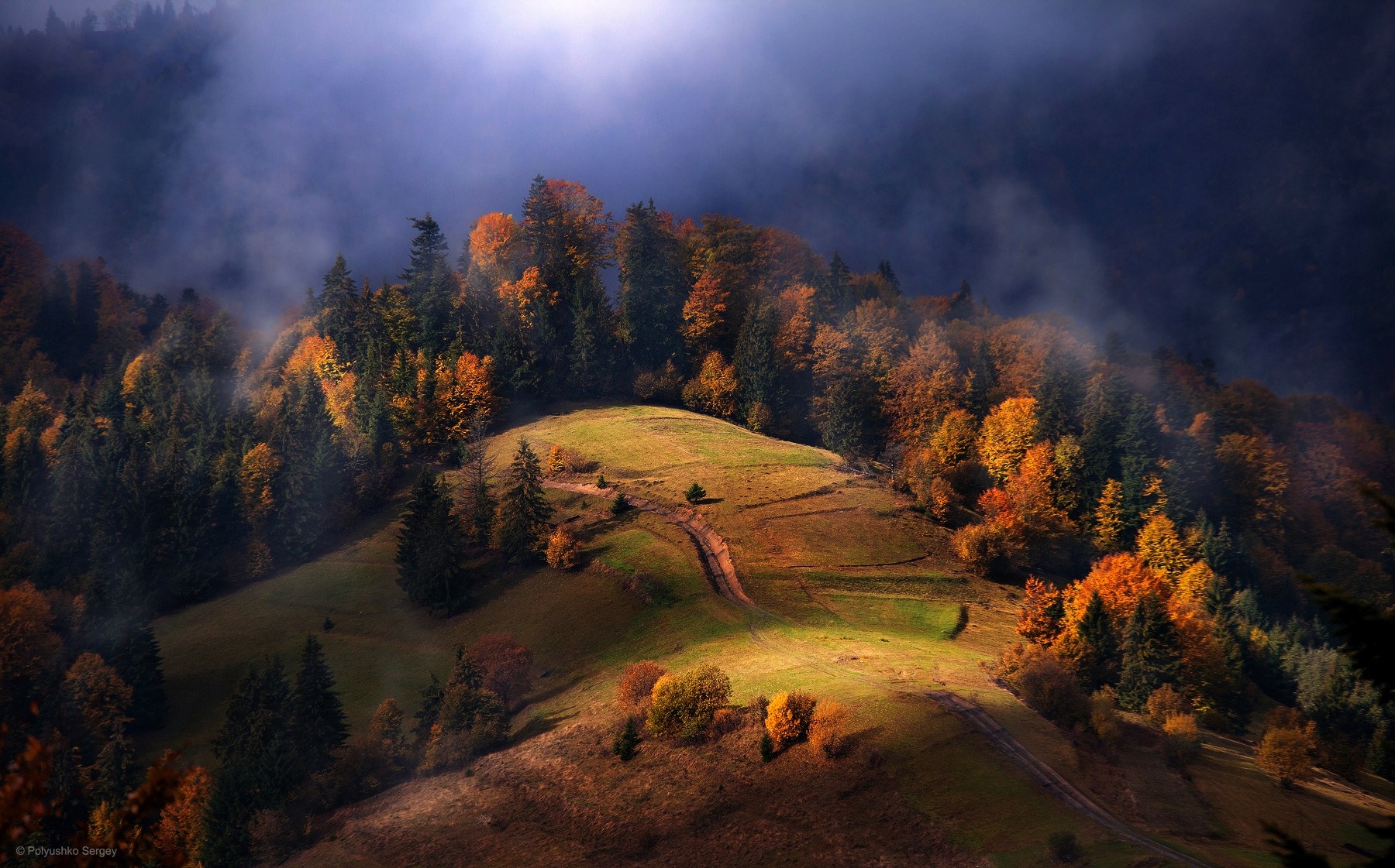 Misty autumn forest on a mountain slope with sunlight HD Wallpaper