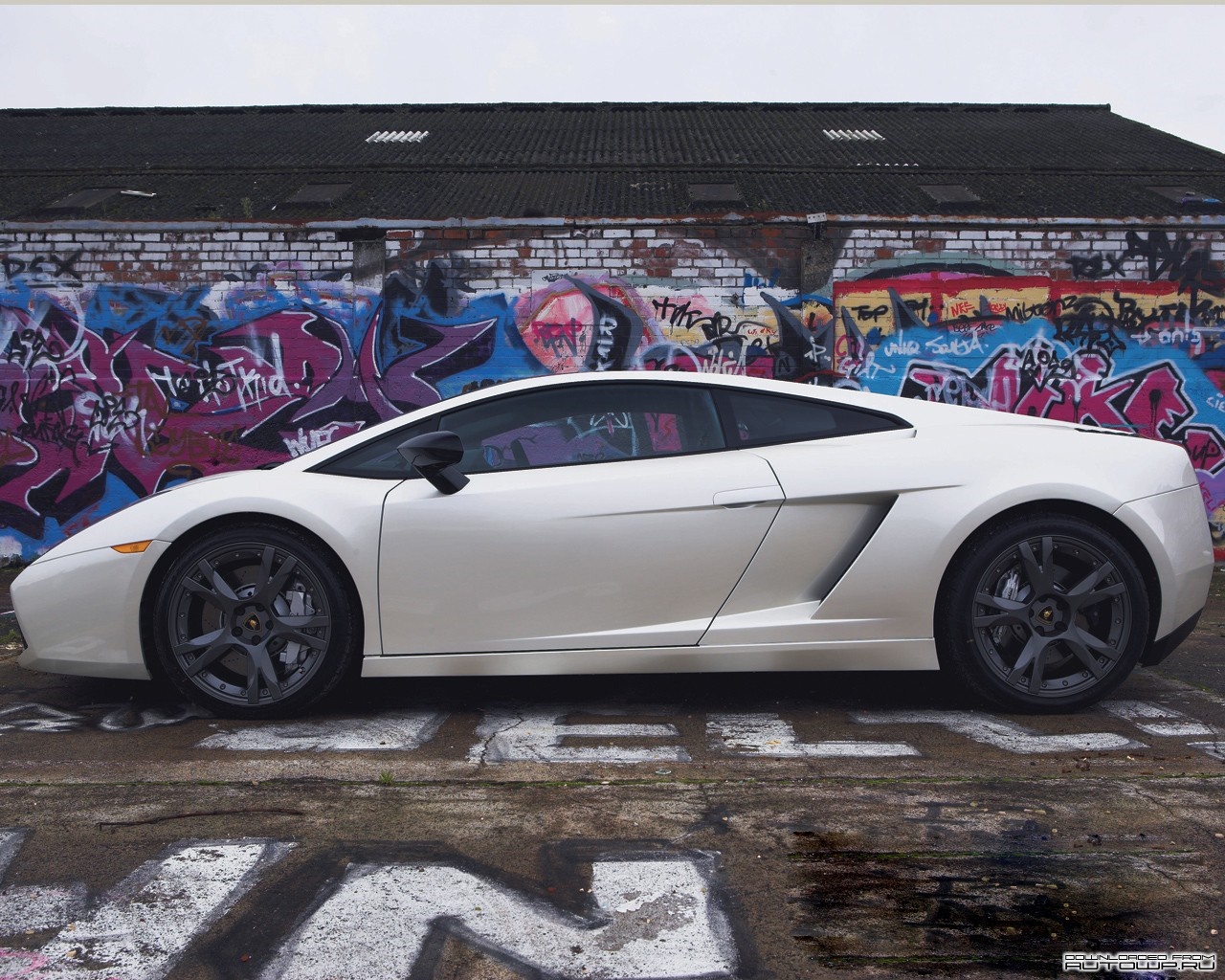 White Lamborghini Gallardo parked in front of graffiti wall HD Wallpaper