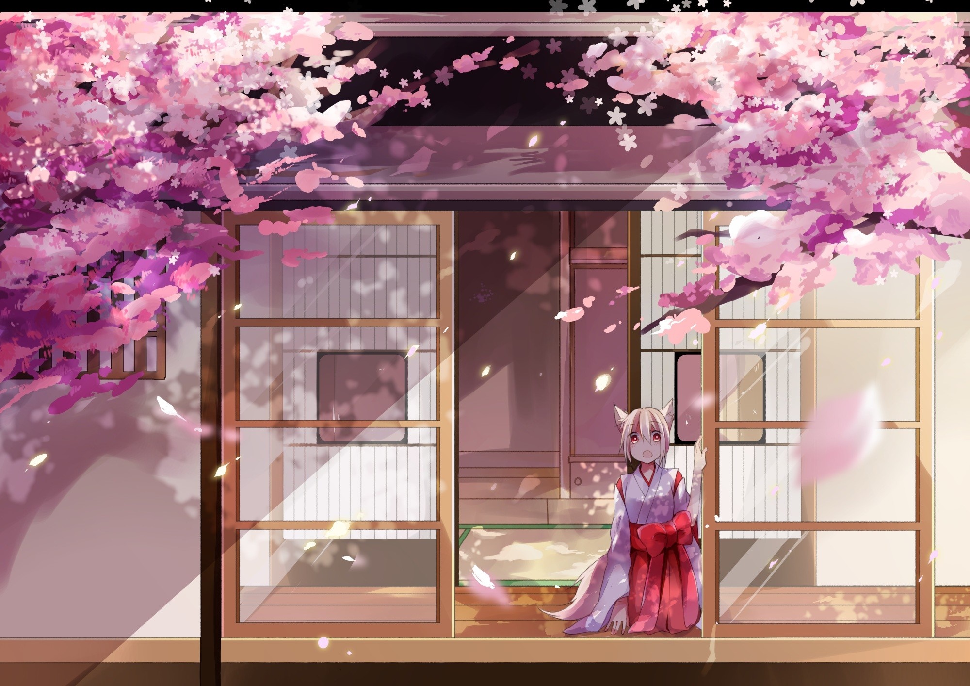 Anime girl with fox ears in a shrine during cherry blossom season HD Wallpaper