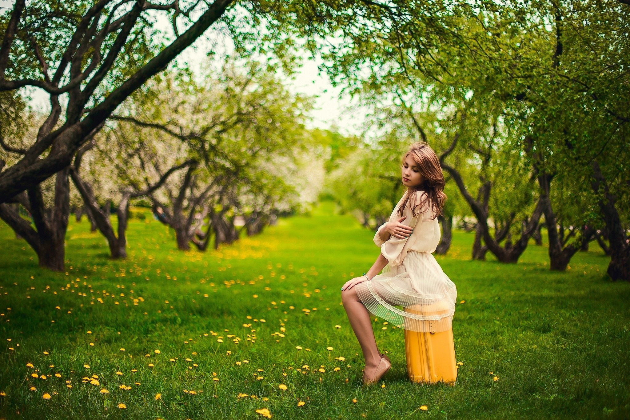 Woman in a dress sitting on a suitcase in a meadow HD Wallpaper