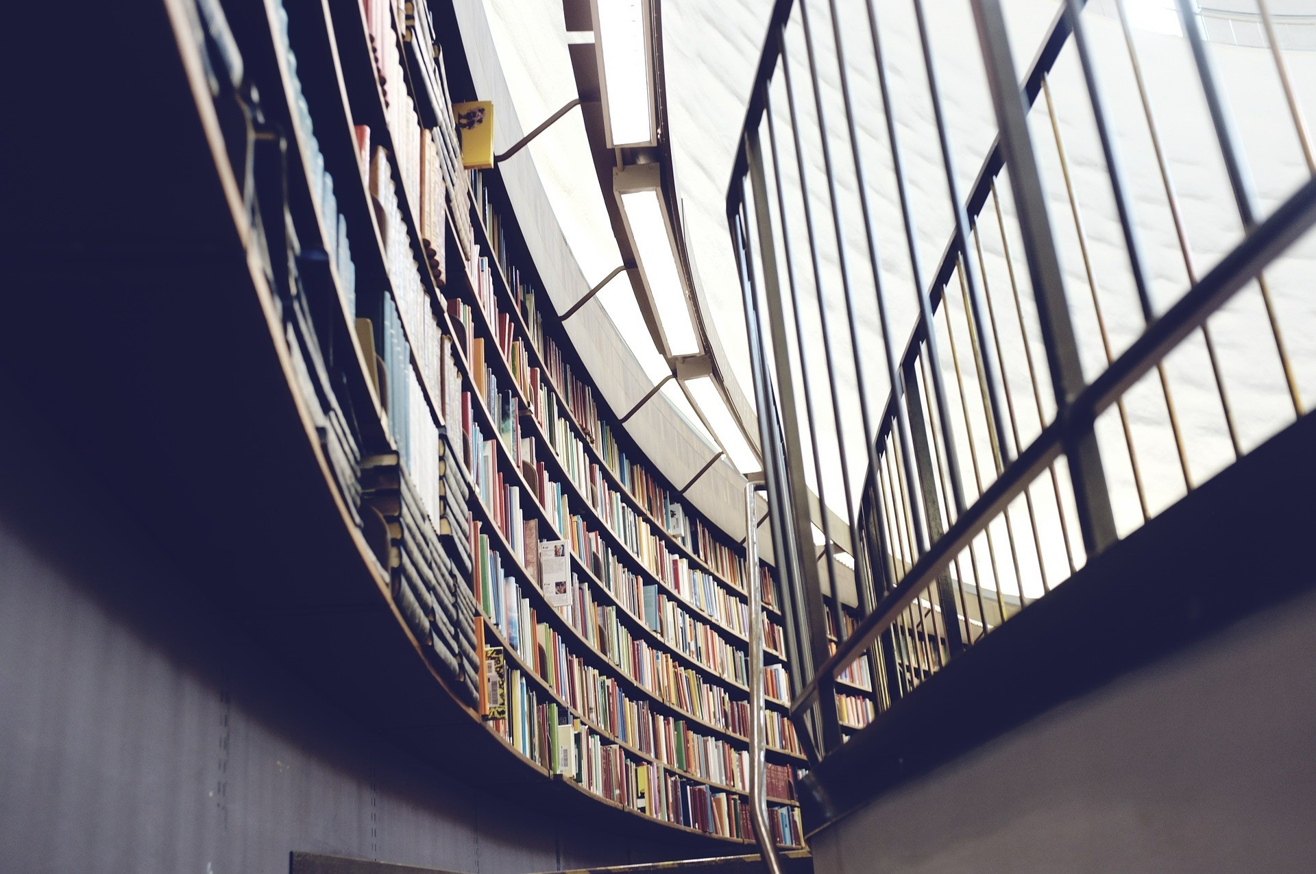 Curved library bookshelves with metal railing and lights HD Wallpaper