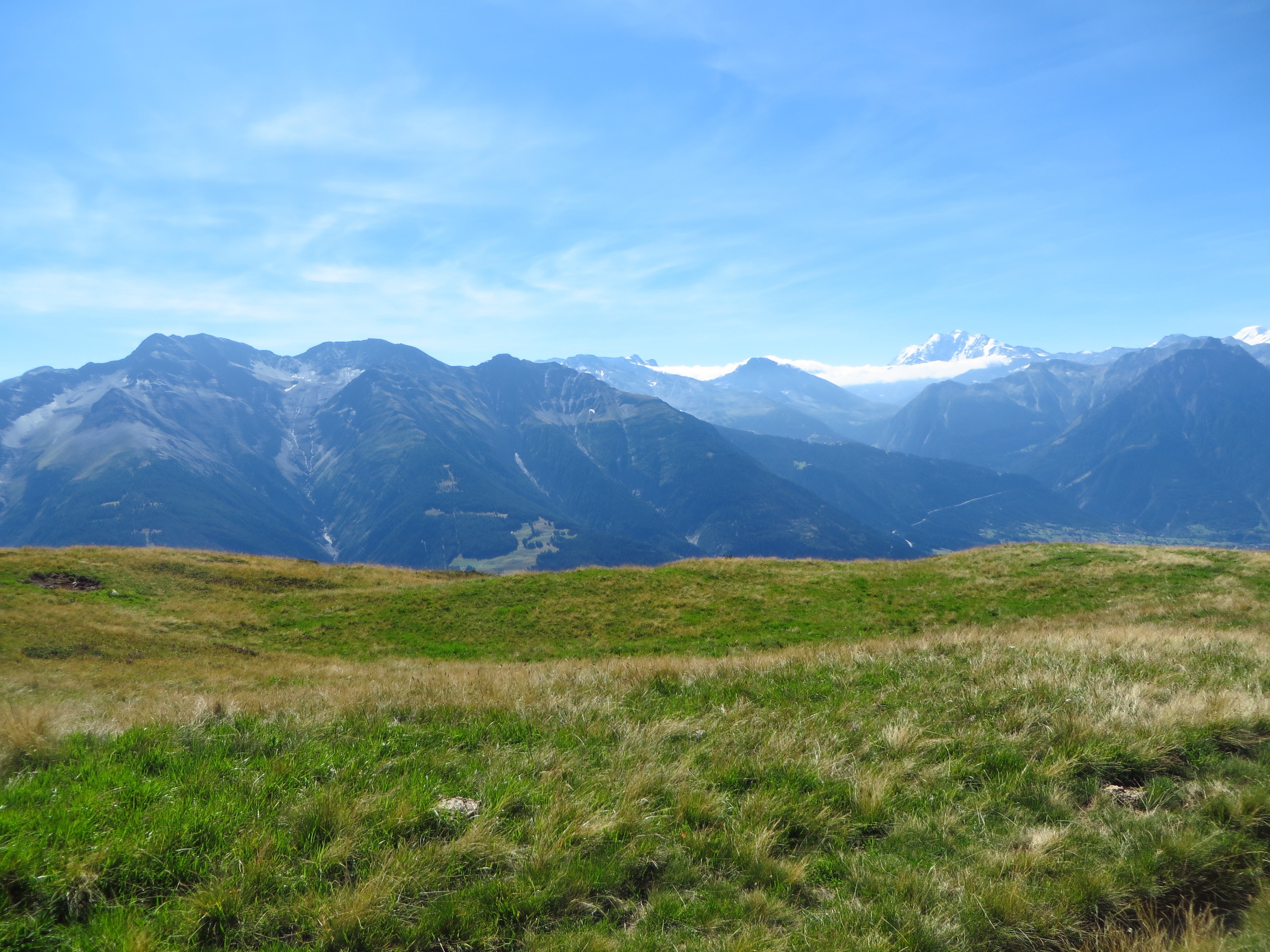 Grassy foreground with distant snow-capped mountains under a blue sky HD Wallpaper