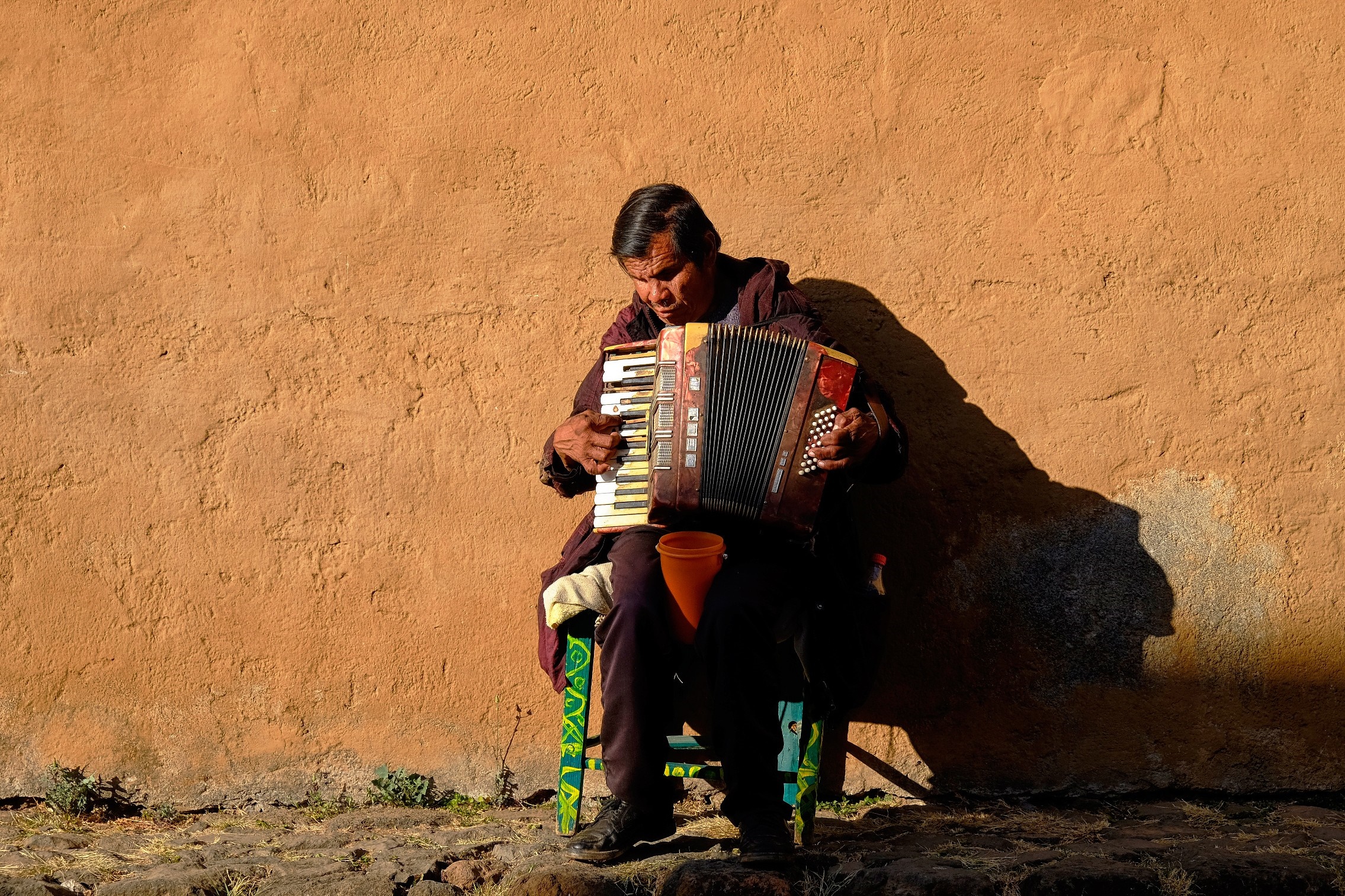 Man playing accordion on a street HD Wallpaper