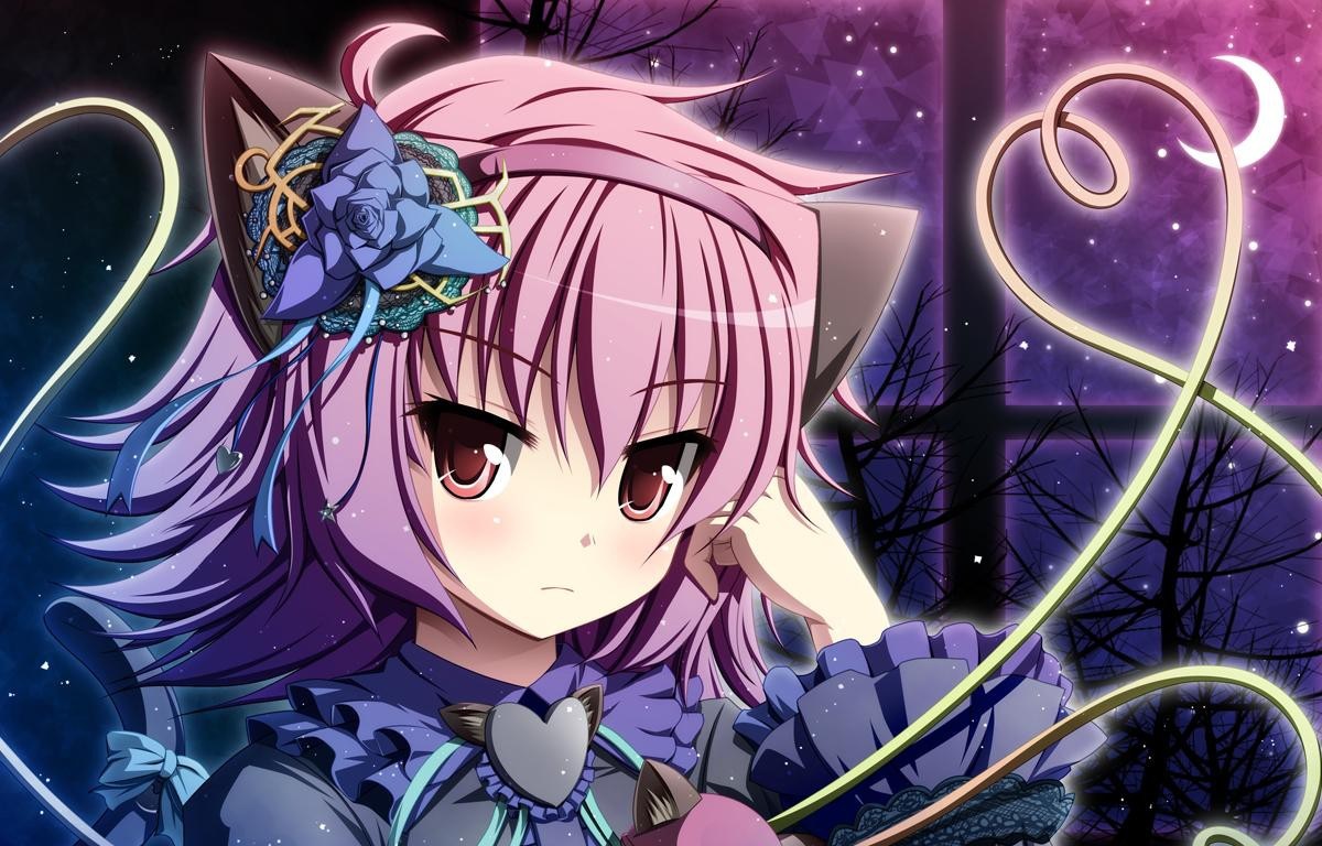 Anime girl with pink hair and cat ears at night HD Wallpaper