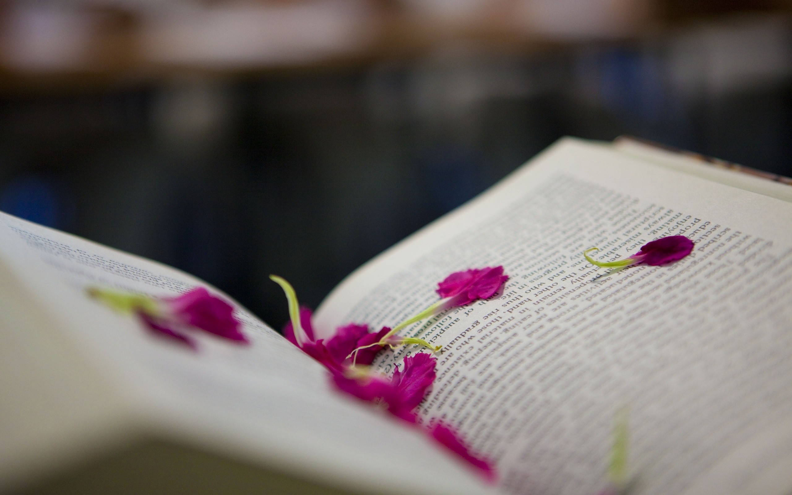 Open book with purple flower petals HD Wallpaper