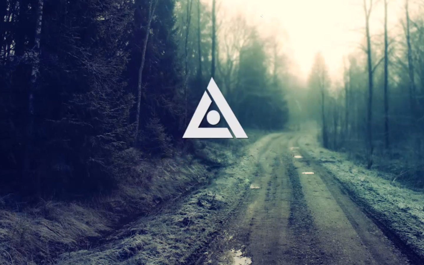 Logo on a misty forest road HD Wallpaper