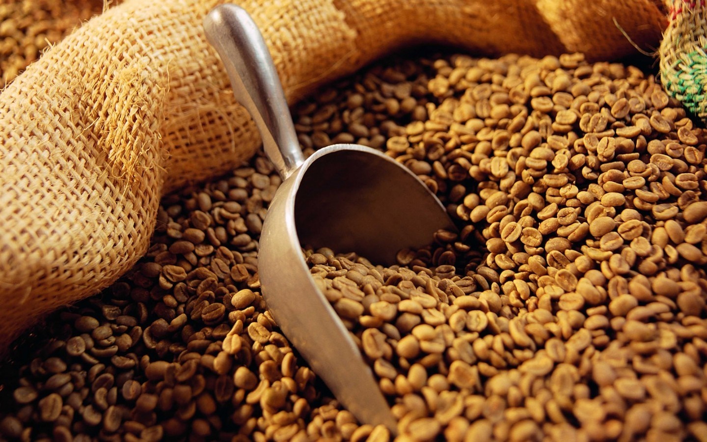Coffee beans in a burlap sack with a scoop HD Wallpaper