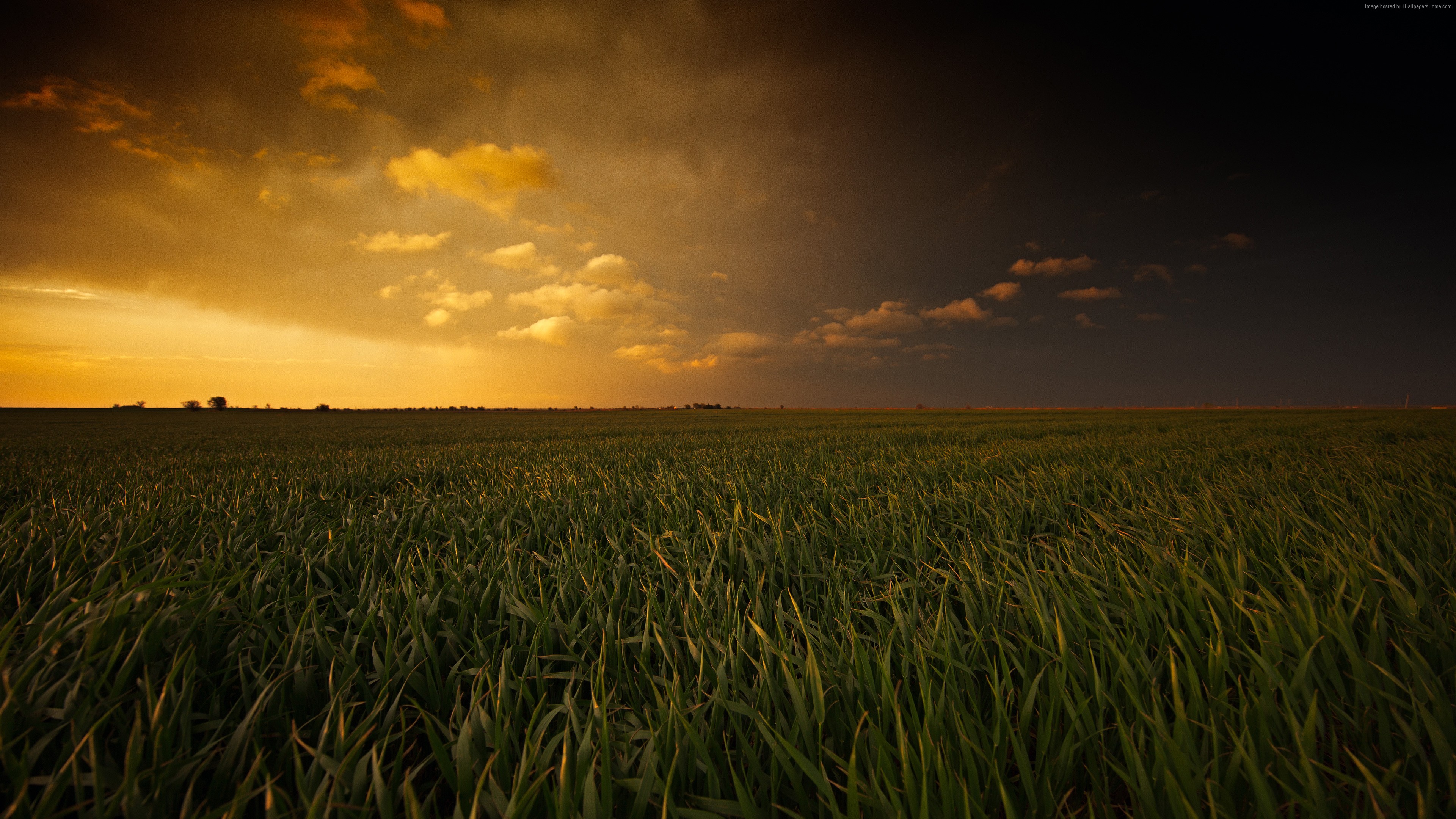 Sunset over a green field HD Wallpaper