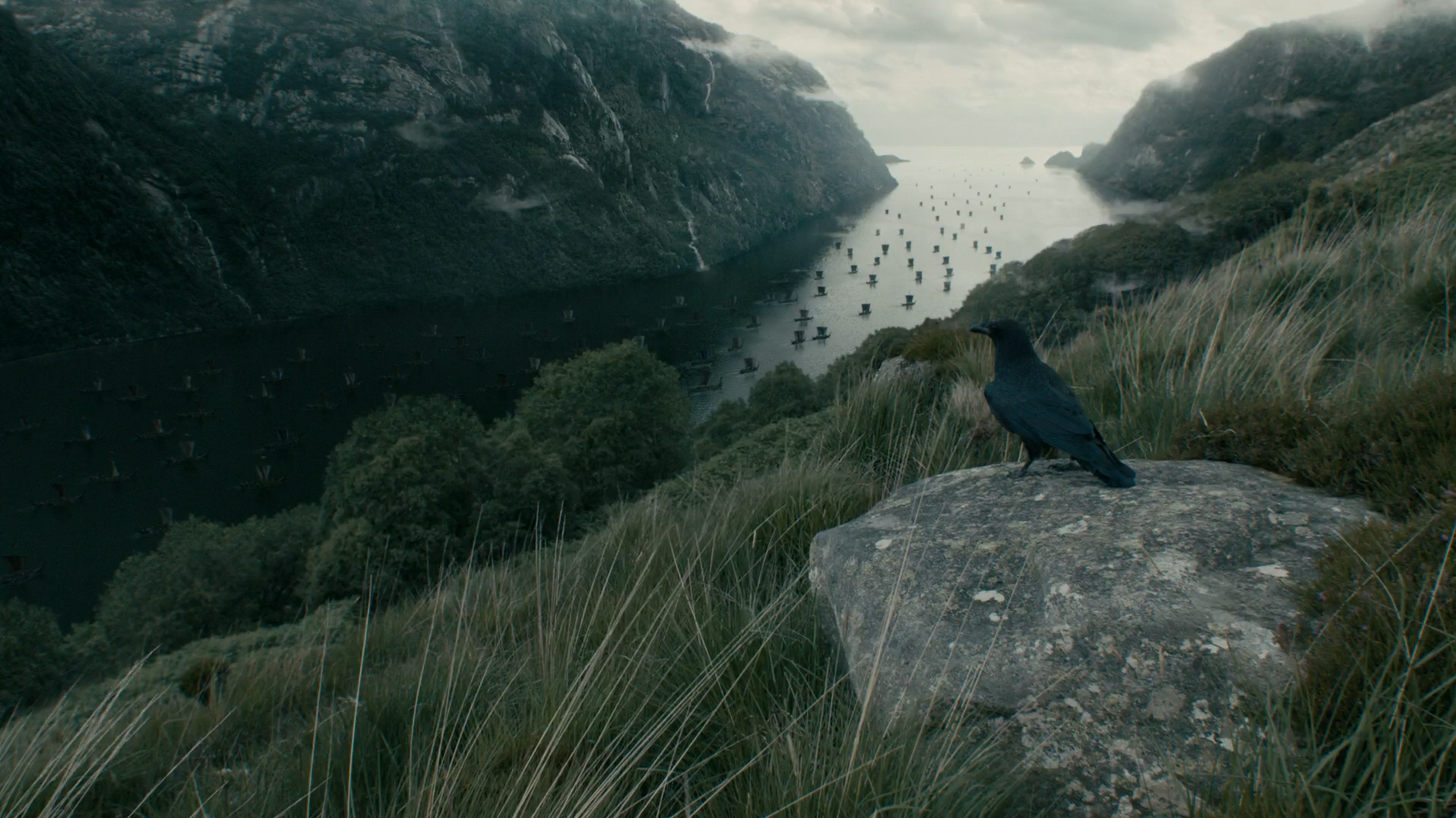 Raven overlooking a fjord with many ships HD Wallpaper