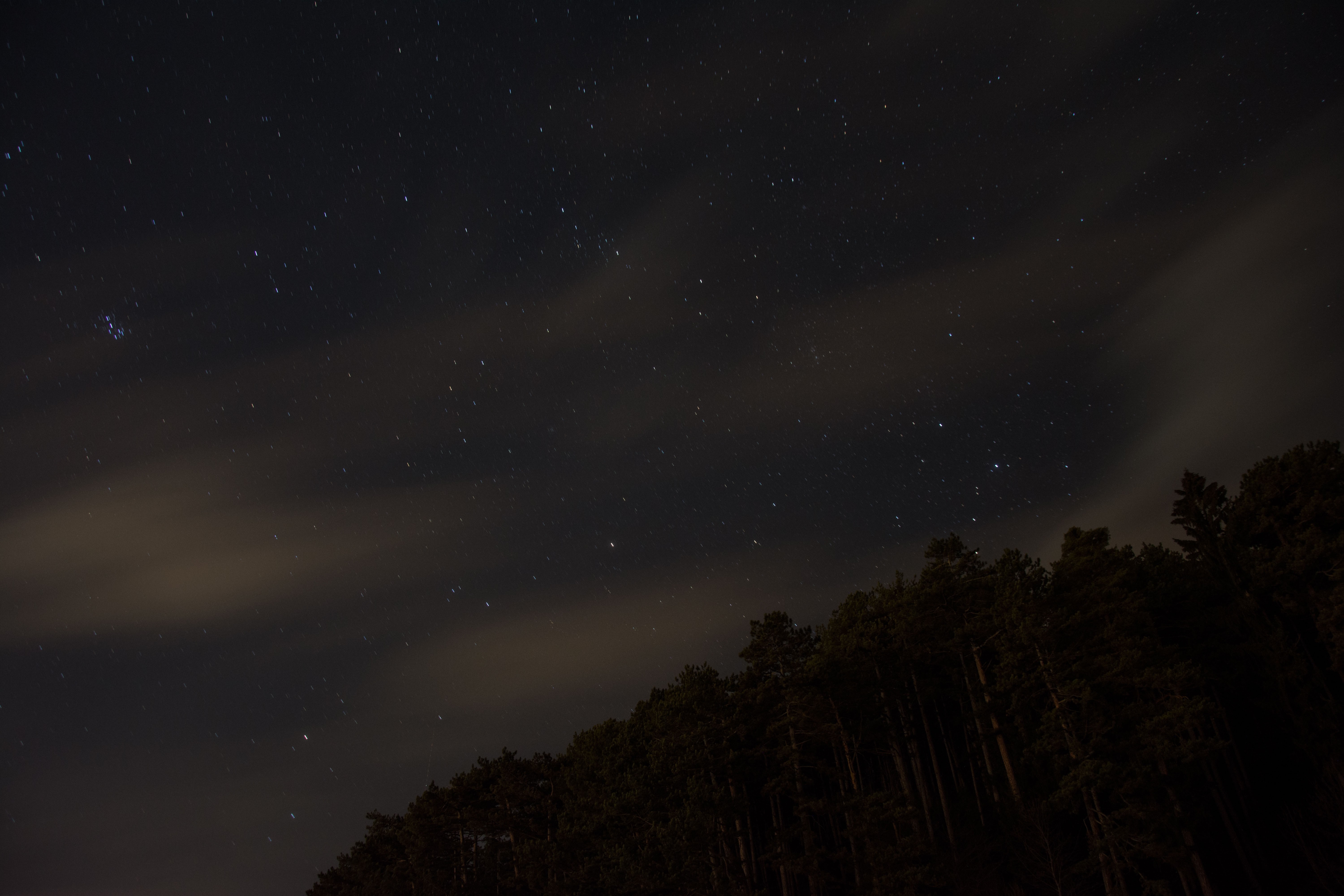 Night sky with stars and clouds over a forest HD Wallpaper