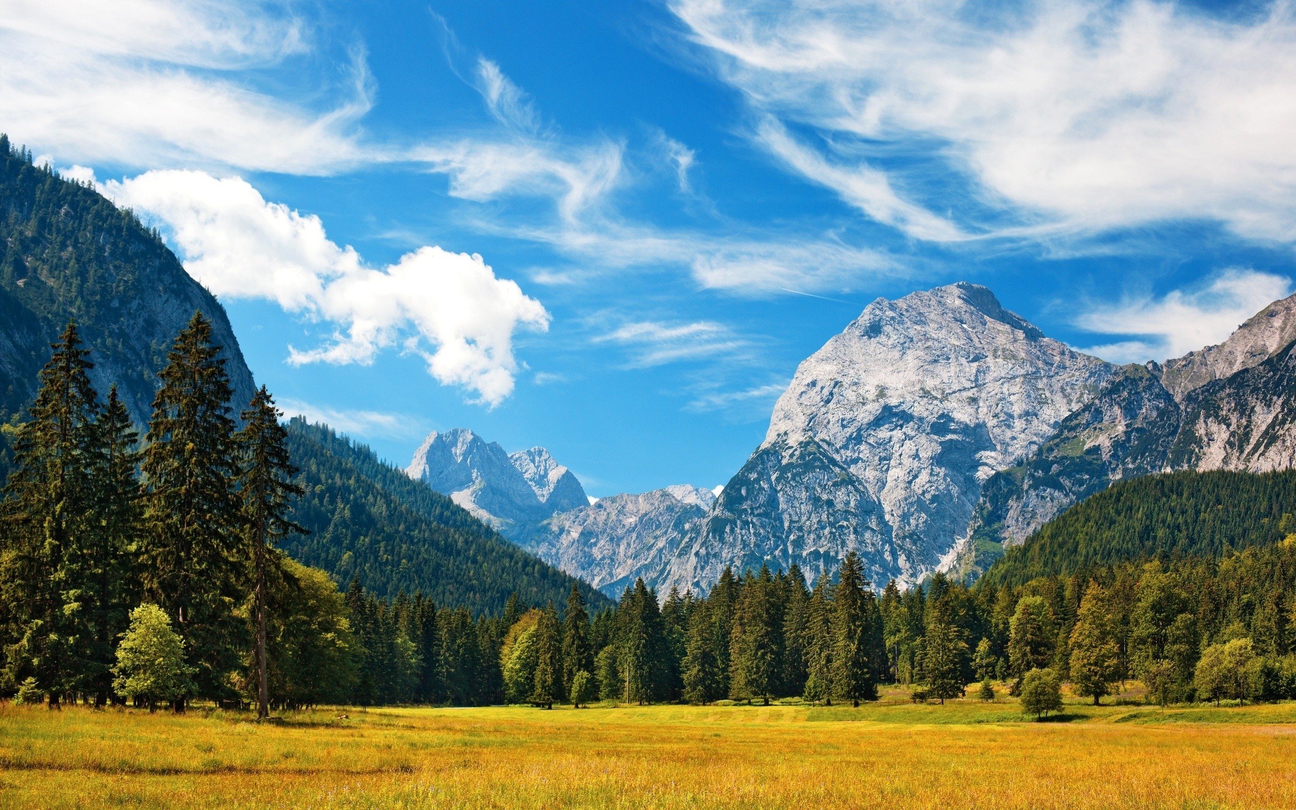 Mountain Landscape With Forest And Meadow Hd Wallpaper Rare Gallery Mountain Landscape With Forest And Meadow Hd Wallpaper Rare Gallery
