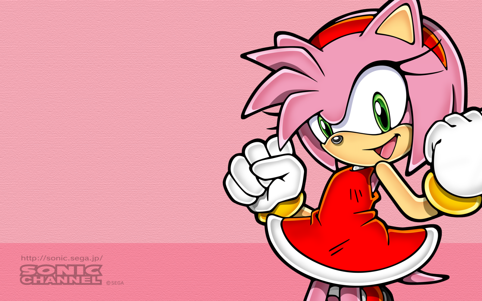 Amy Rose from Sonic the Hedgehog HD Wallpaper