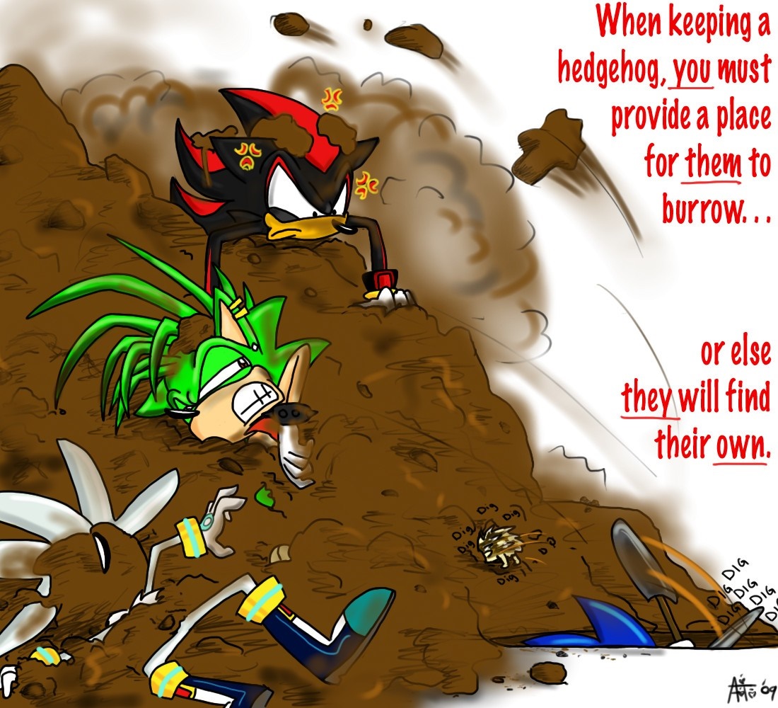 Sonic and Shadow Hedgehog Burrowing Chaos HD Wallpaper