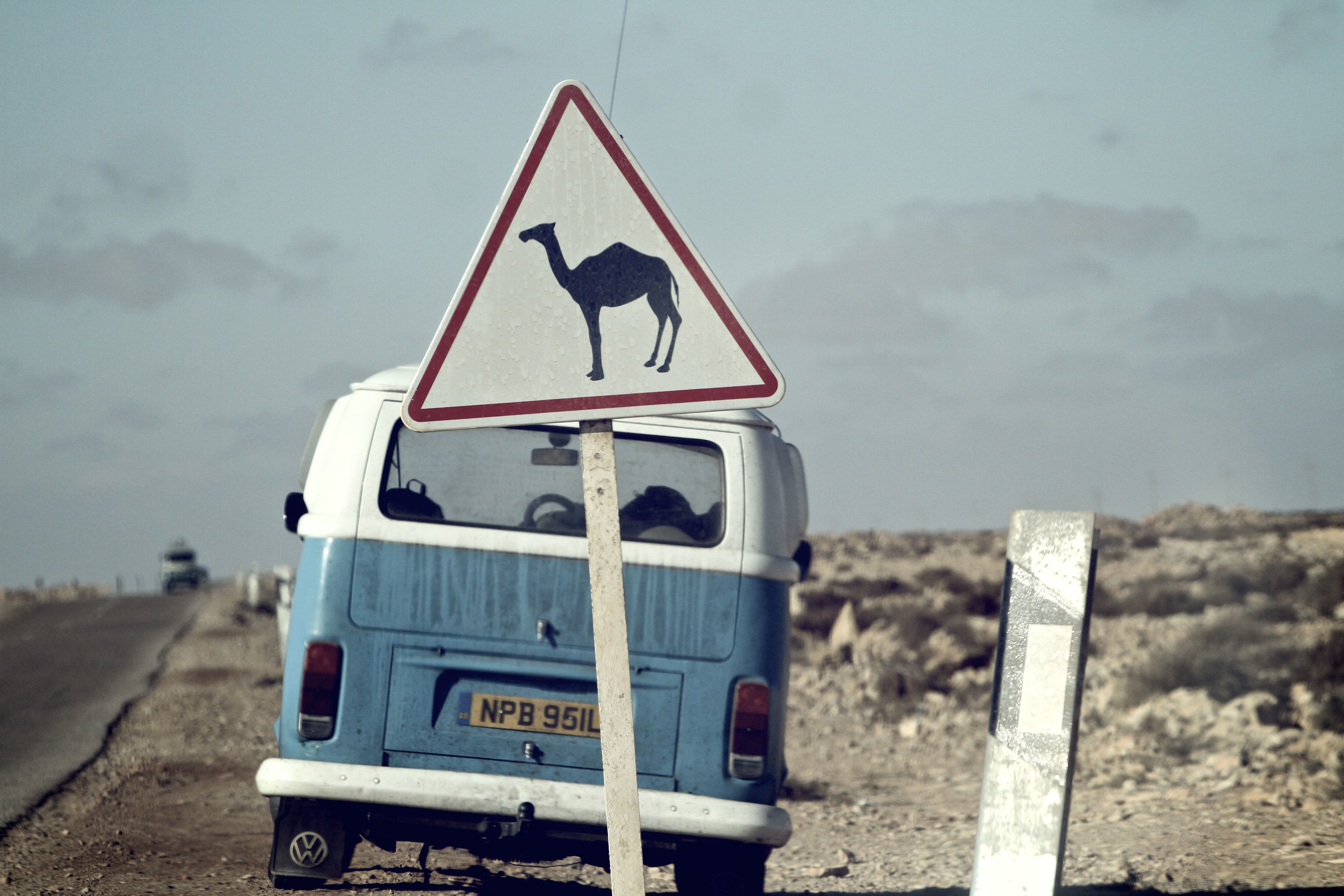 Volkswagen van with camel crossing sign HD Wallpaper