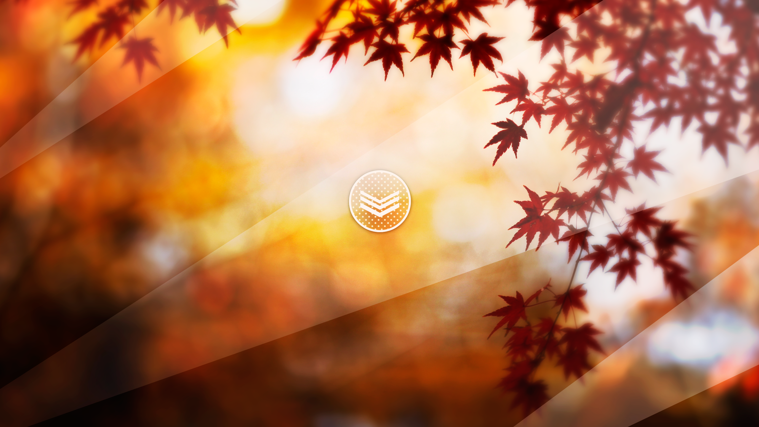Autumn leaves with sunlight and a circular icon HD Wallpaper