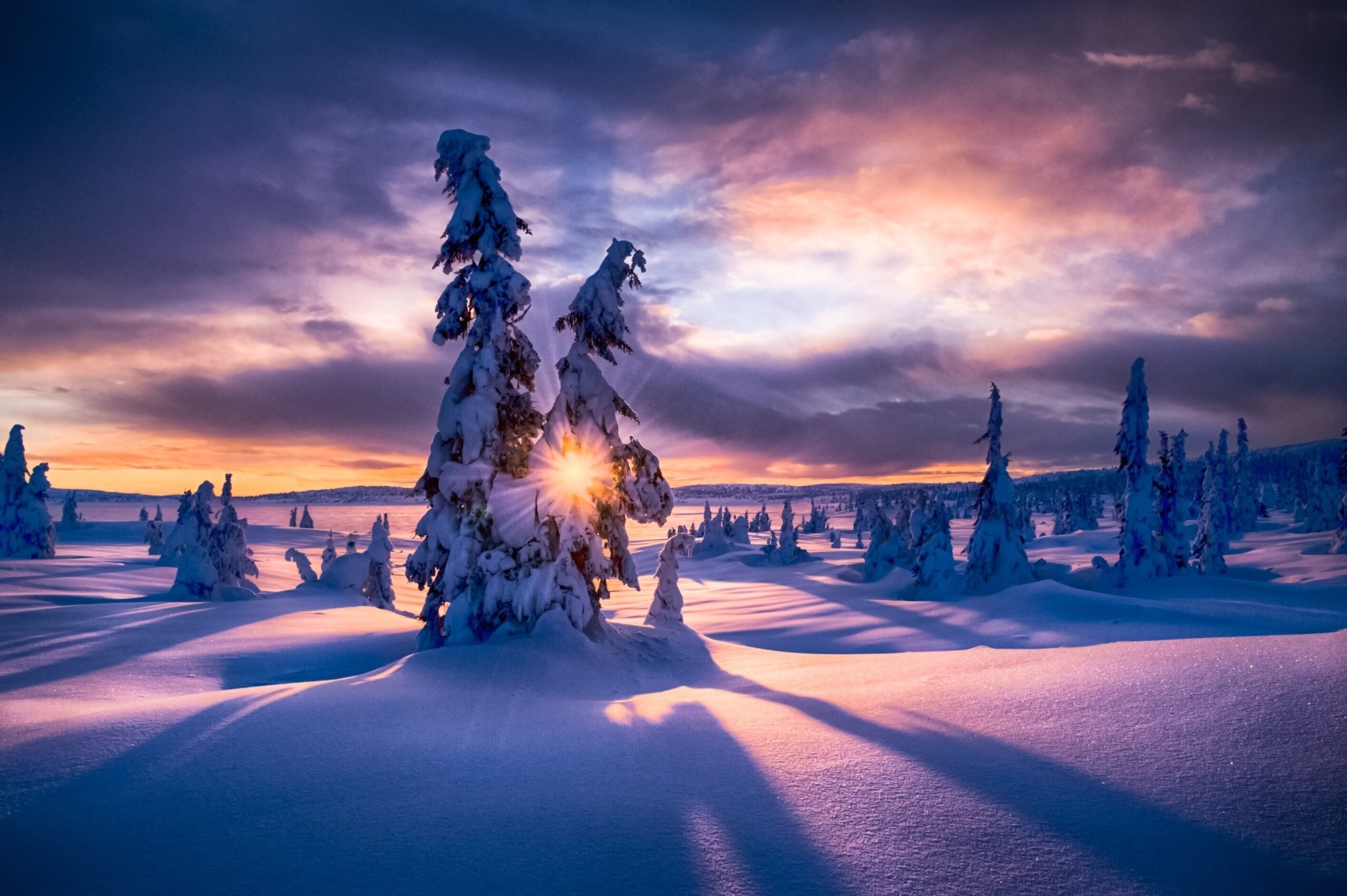 Snowy landscape with trees at sunset HD Wallpaper