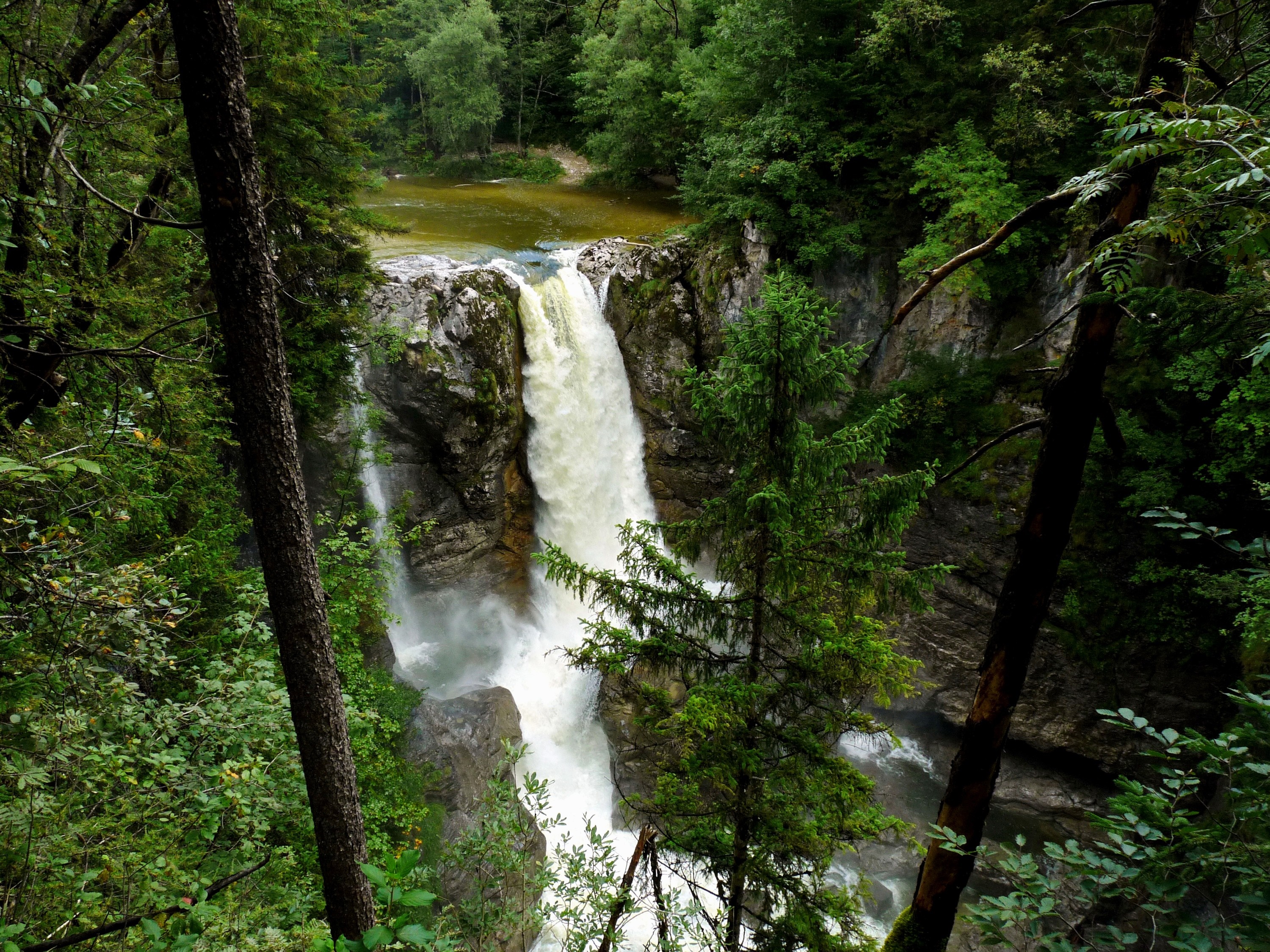 Waterfall in a dense forest with rocky cliffs HD Wallpaper