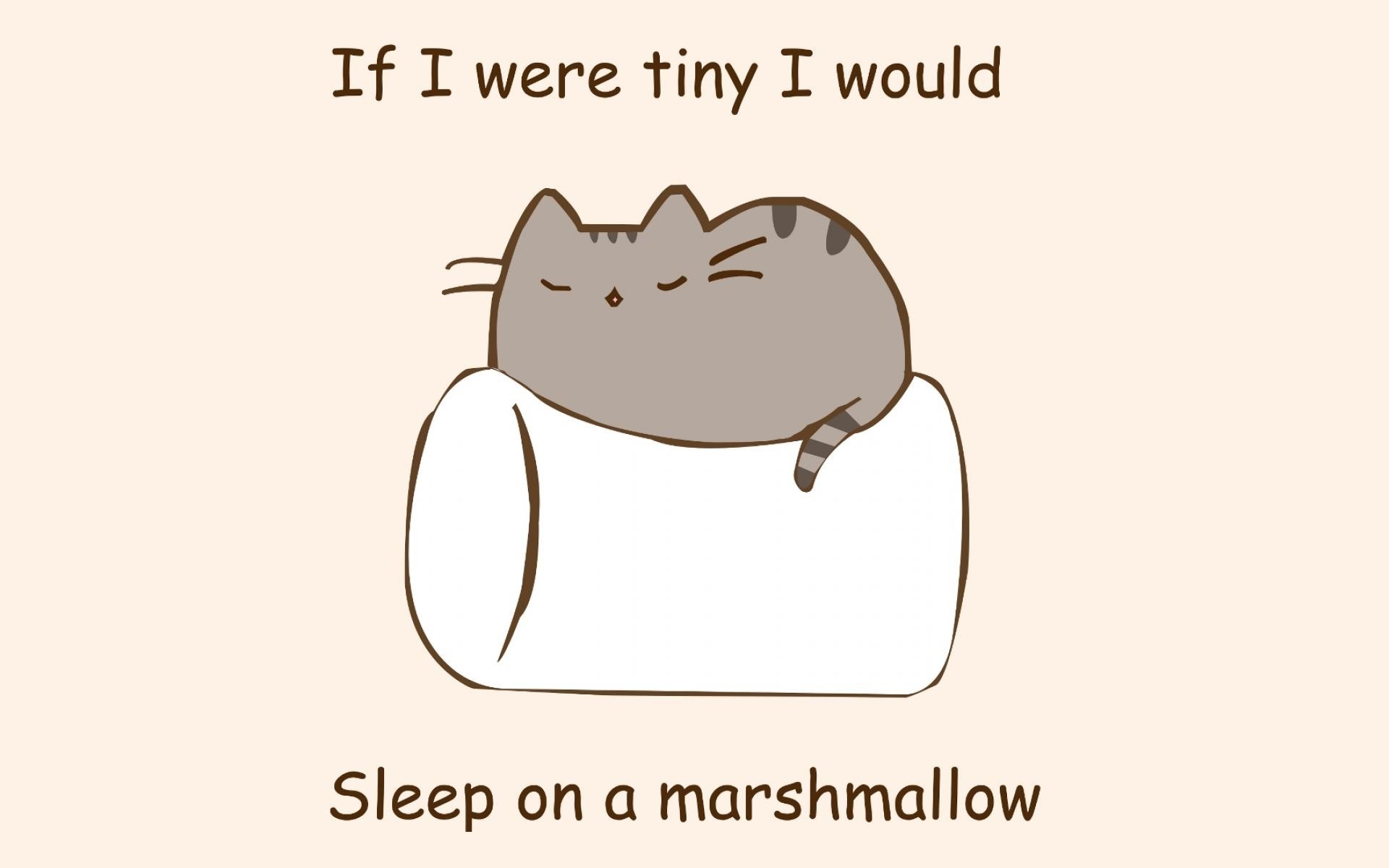 Pusheen the cat sleeping on a marshmallow HD Wallpaper